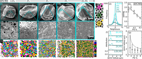 Series of scientific graphs and microscopic images showing surface structures and data analysis, including topographical and particle distribution plots.