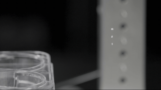 Close-up of a clear glass with a partial view of a countertop or table surface, with a blurred background showing vertical metallic or plastic objects.