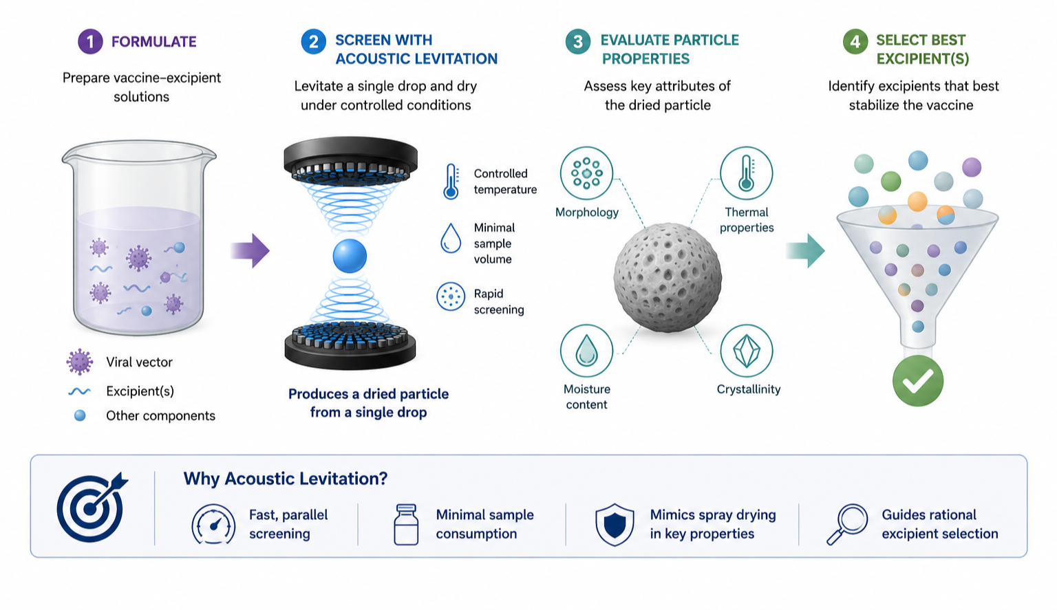 A four-step infographic detailing the process of vaccine particle analysis and selection. Step 1 shows preparing vaccine solutions with viral vectors and excipients. Step 2 illustrates using acoustic levitation to isolate a single droplet. Step 3 assesses properties like morphology, thermal, moisture content, and crystallinity of the dried particle. Step 4 depicts selecting the best excipient for stabilization. The bottom section explains benefits of acoustic levitation for vaccine development, including rapid screening and minimal sample use.