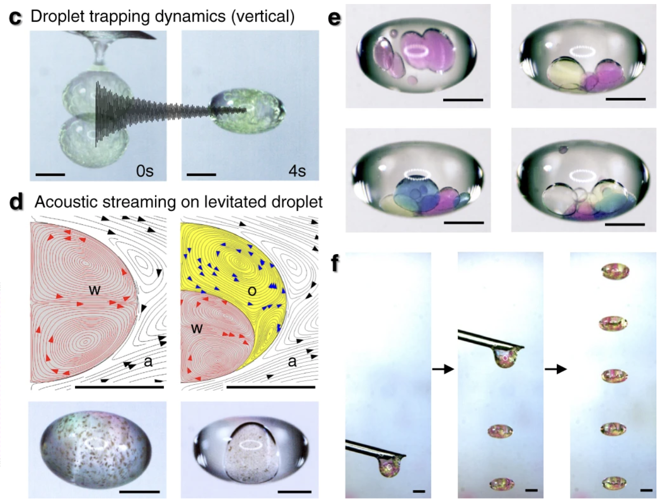 Diagram showing droplet trapping dynamics and acoustic streaming on levitated droplets, with microscopic images of colored droplets and schematic diagrams of fluid flow patterns.