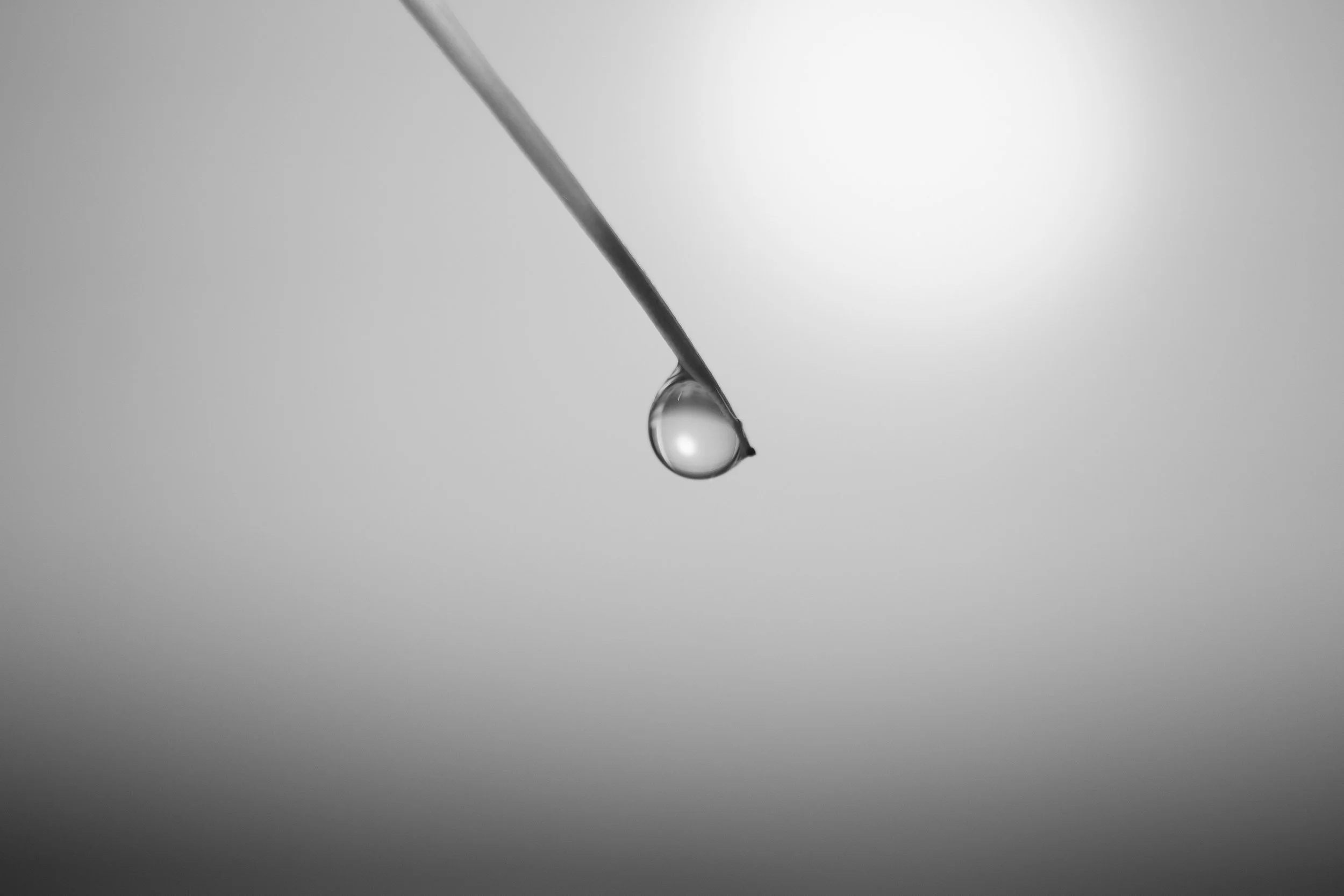 Close-up of a water droplet hanging from the tip of a thin object against a plain background.