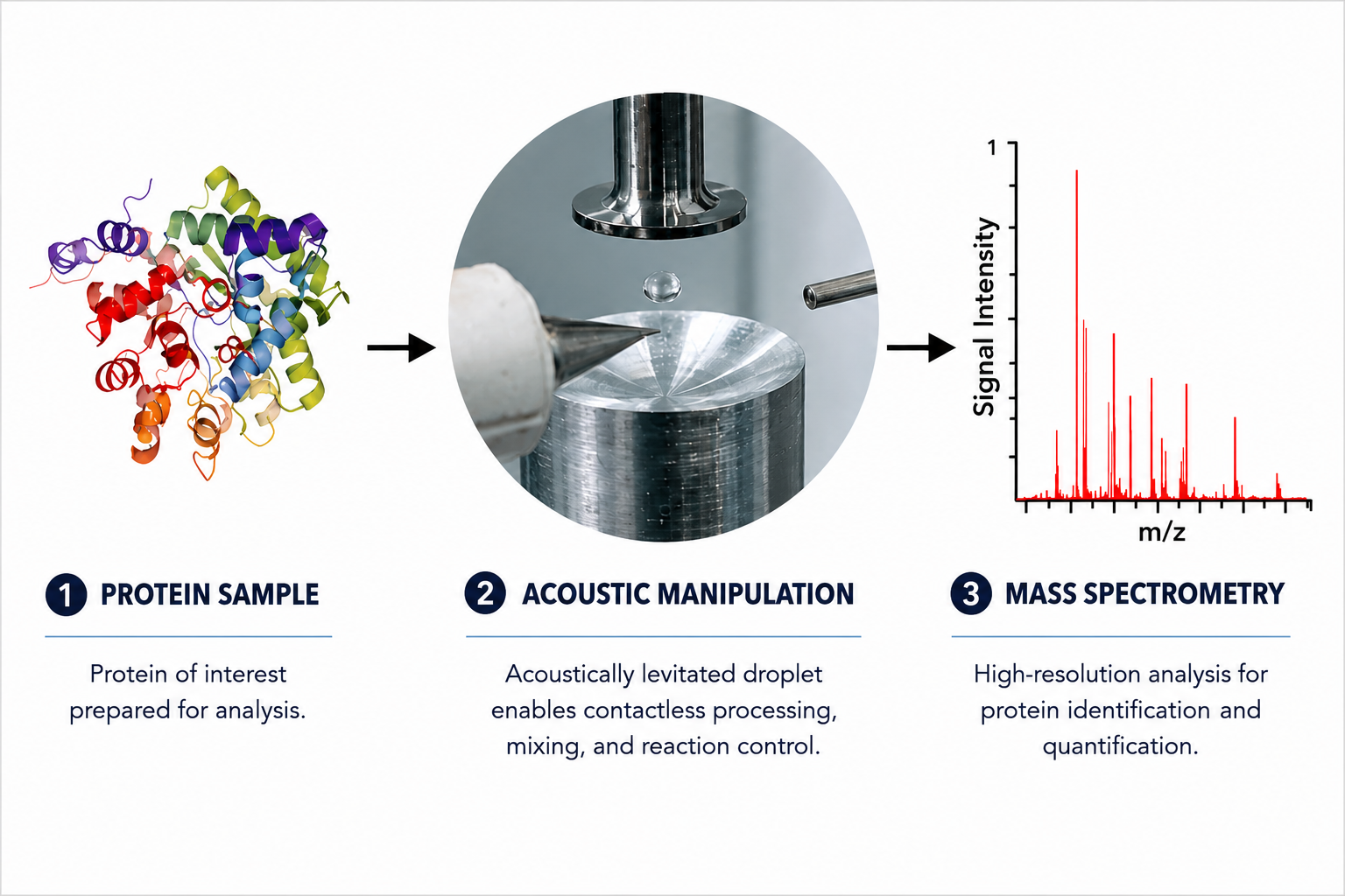 Diagram showing the process of protein analysis, including a colorful protein structure, an acoustic manipulation device, and a mass spectrometry graph with red peaks indicating signal intensity, labeled 'Protein Sample,' 'Acoustic Manipulation,' and 'Mass Spectrometry'.