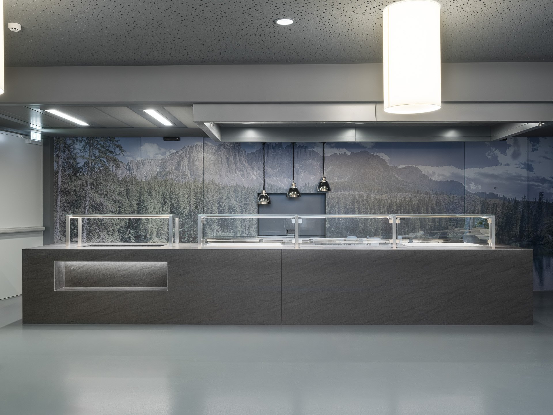 Interno di un negozio o un'area espositiva moderna con parete decorativa che riproduce immagini di montagne e foreste, illuminata da luci a soffitto e faretti sospesi sopra un bancone in vetro e legno.