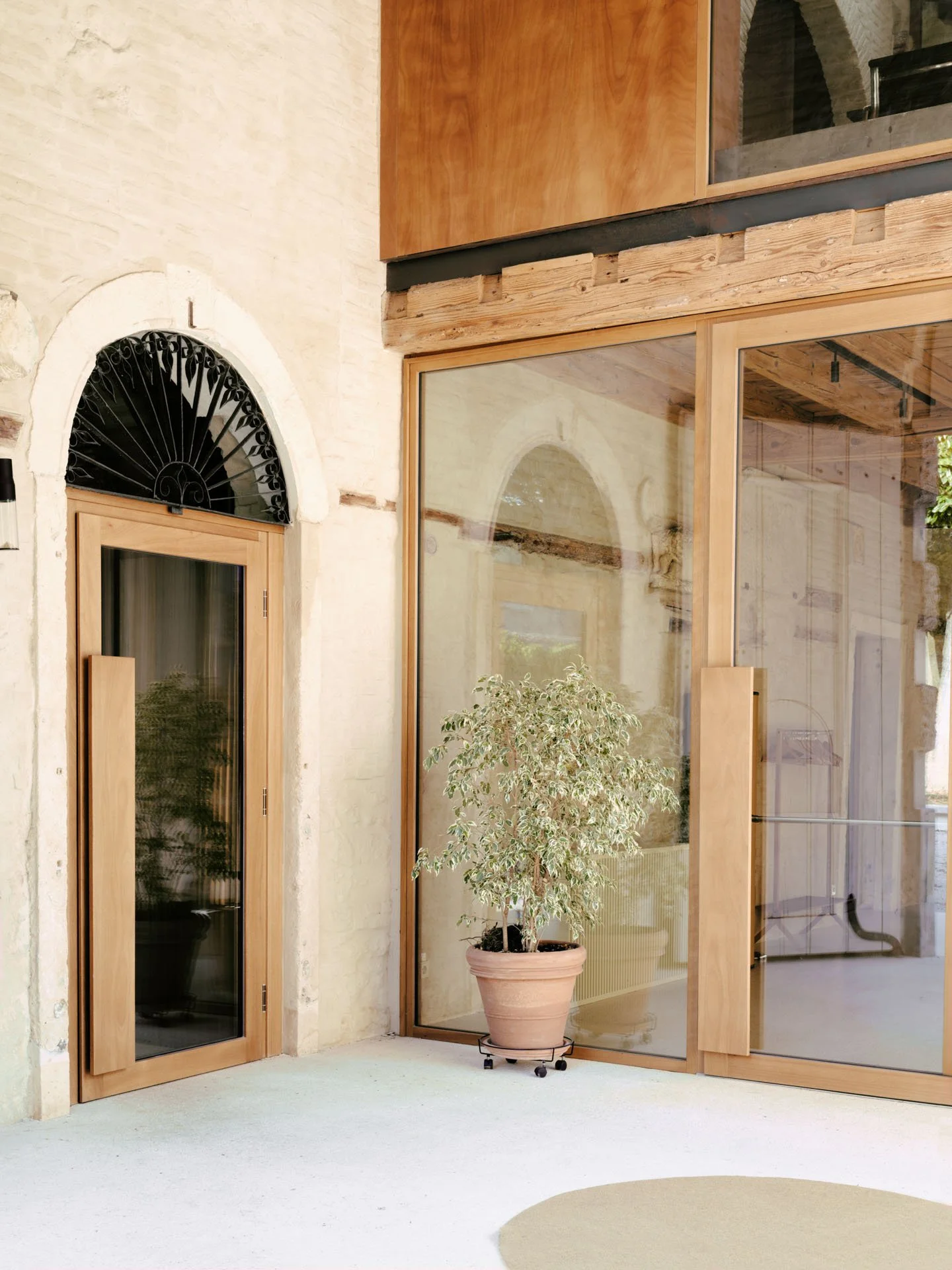 Interrato ininteramente una stanza con porta in legno e finestre di vetro, una pianta in vaso e un arredamento moderno in stile minimalista.