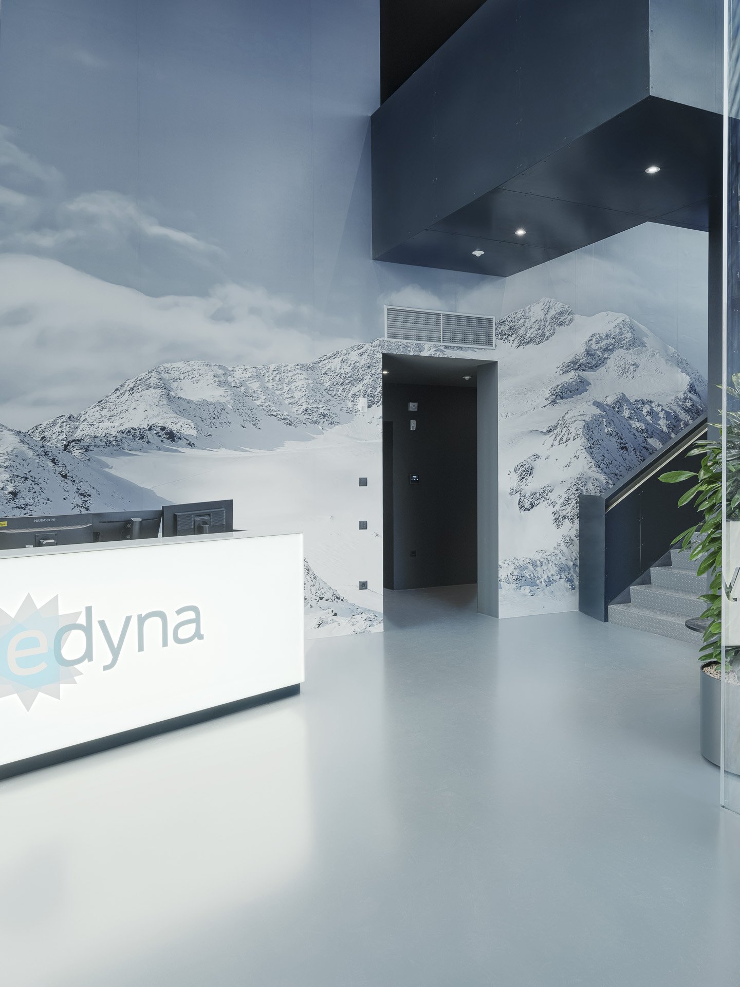 Interno di un edificio con una parete decorata come montagne innevate e cielo, receptionist con scrivania bianca con logo 'edyna', ingresso con porta e scala, piante in vasi, illuminazione moderna.