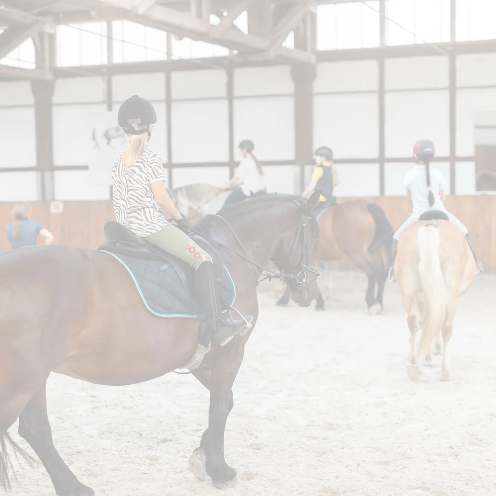 Hunston Riding School Riding Schools — EQUIHUB