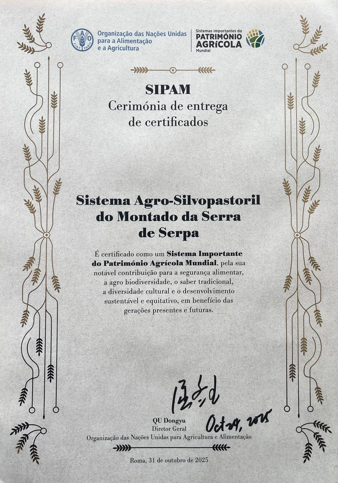 SIPAM - Certificado.jpeg