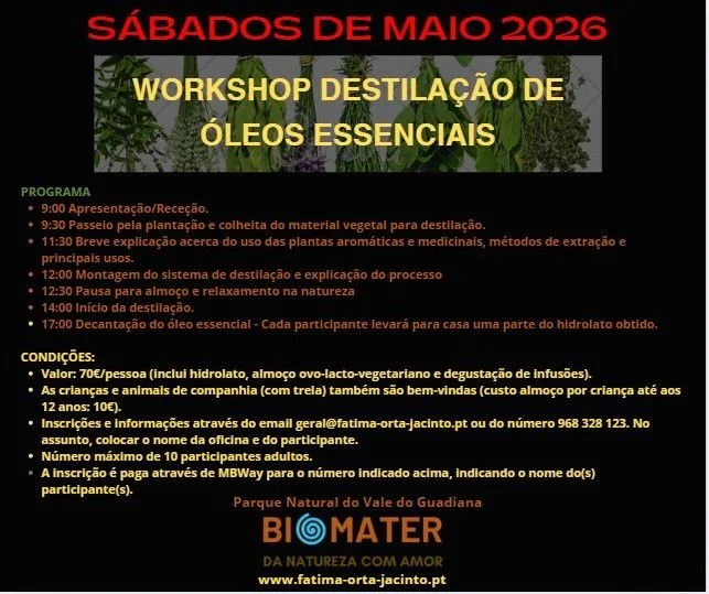 Workshops - Destilação de plantas medicinais para óleos essenciais