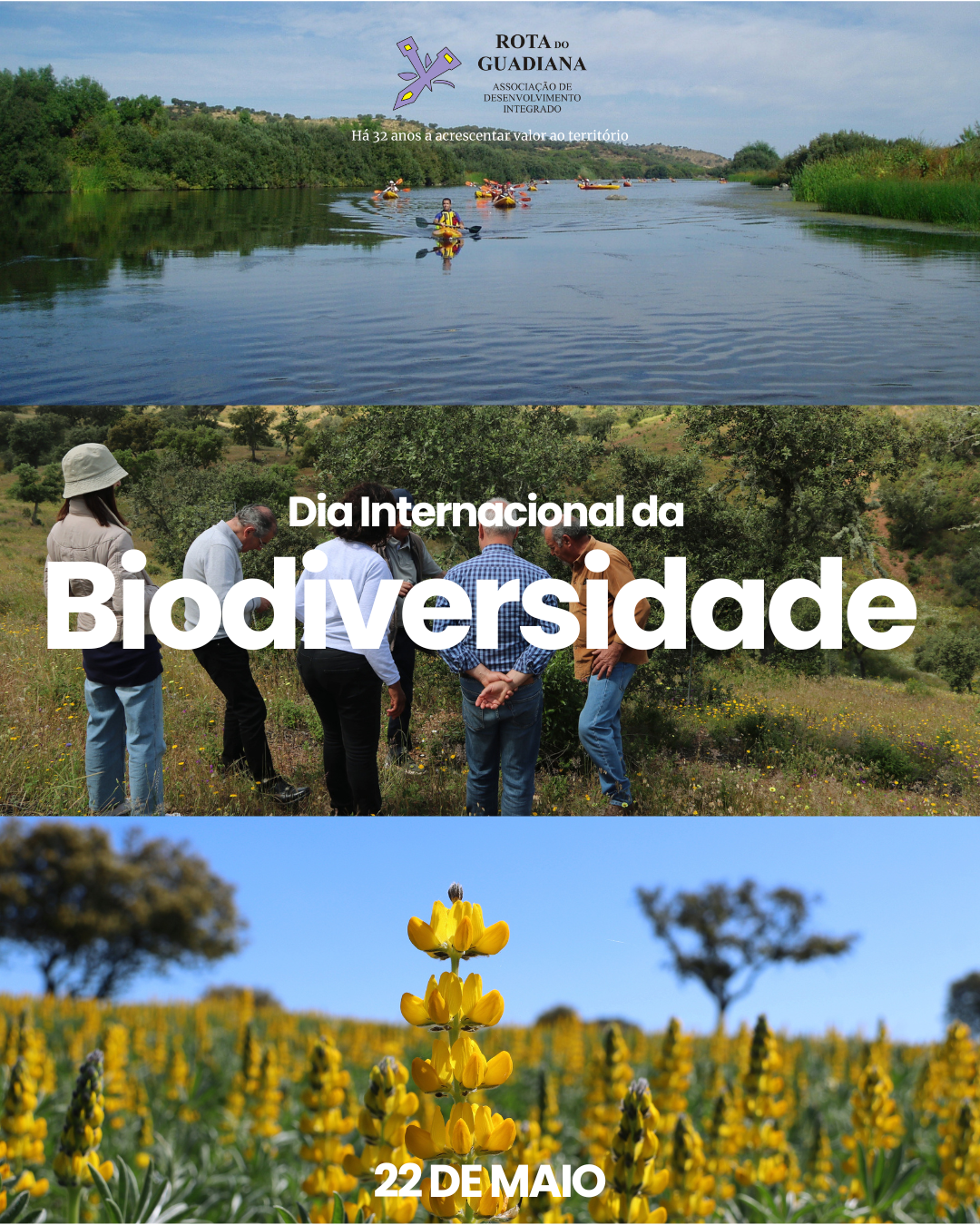 22 de maio | Dia Internacional da Biodiversidade 🌿
