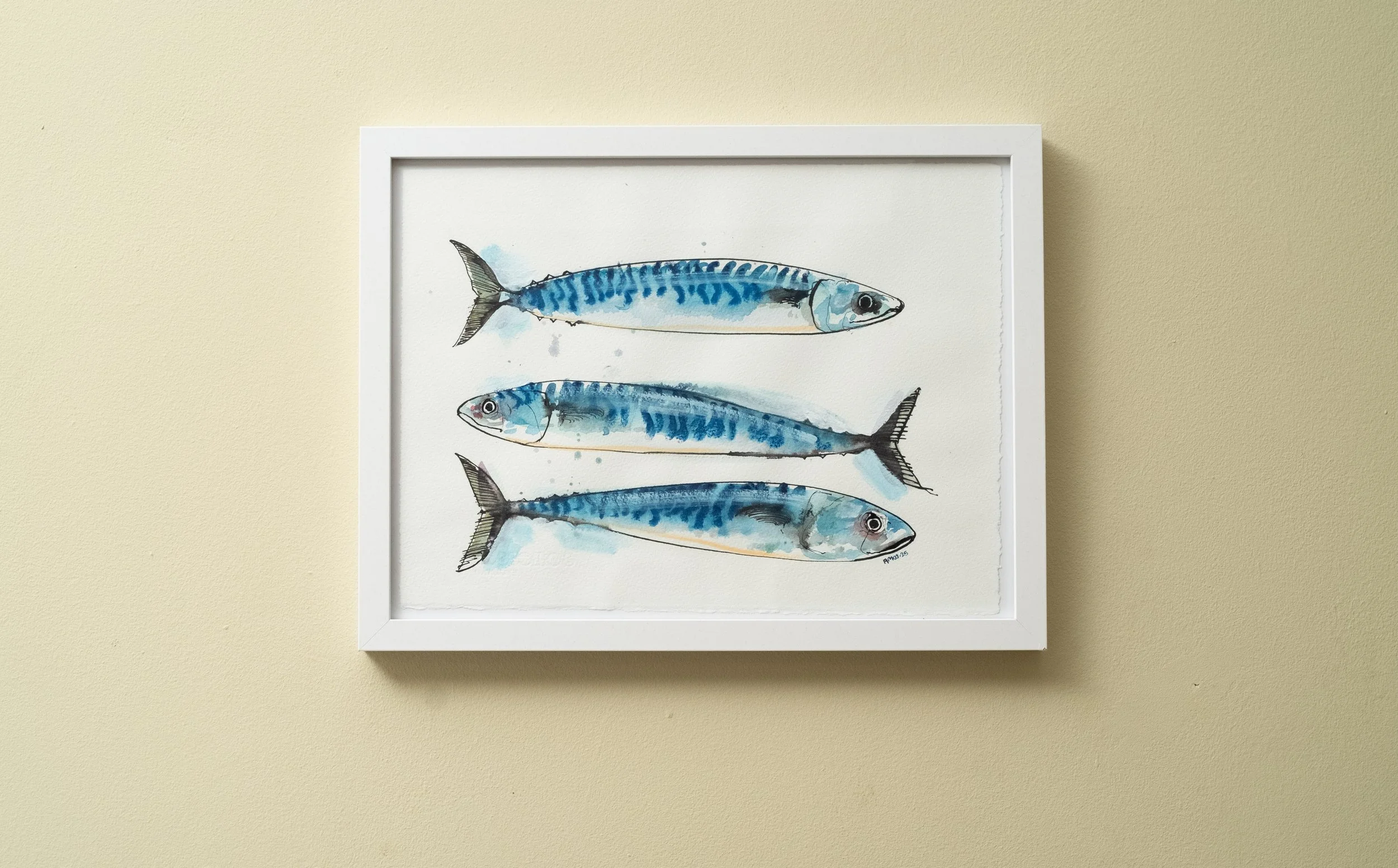 3Mackerel_MIX_2025_0046_Gallery.jpg