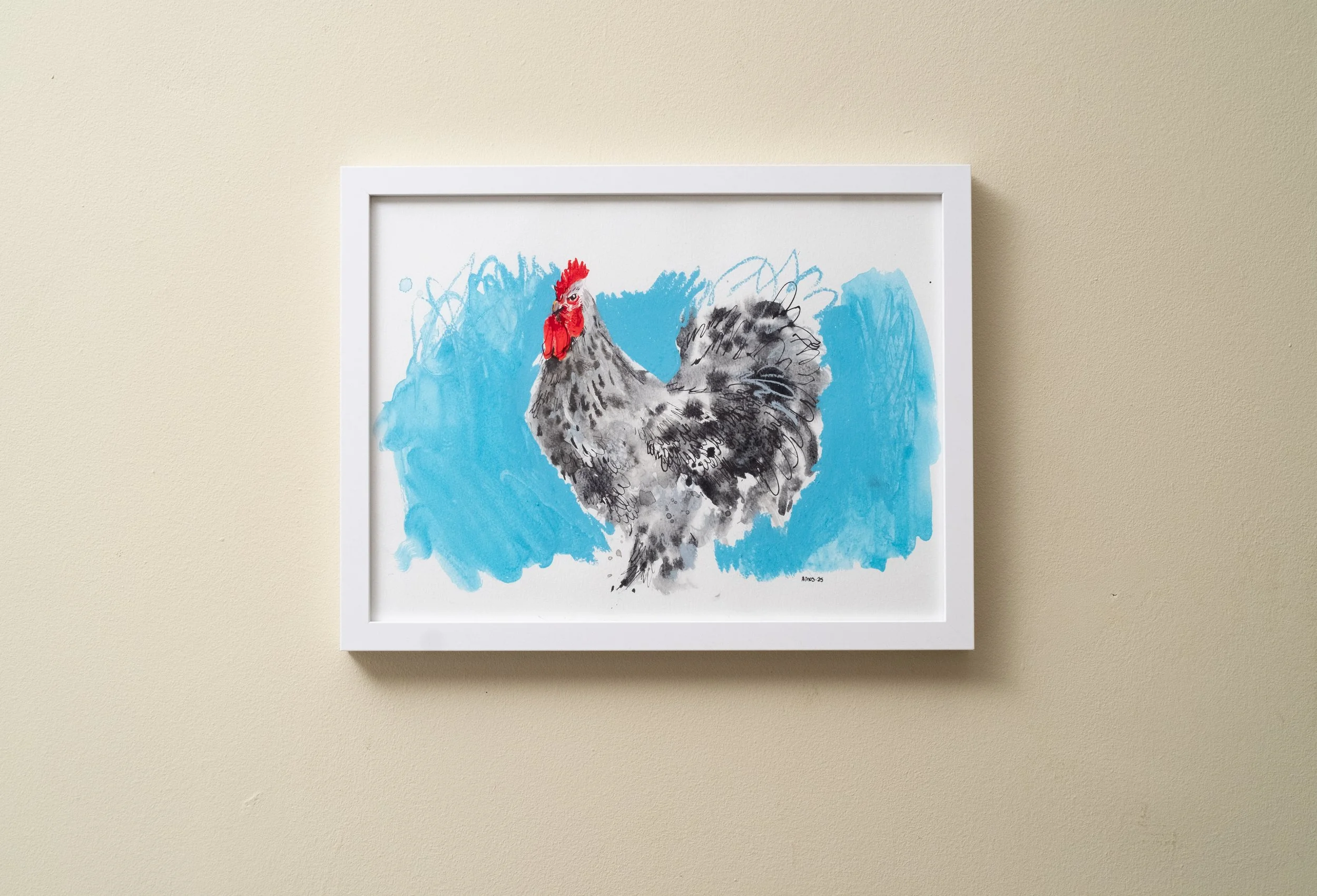 Blue Cochin Cockerel 2025