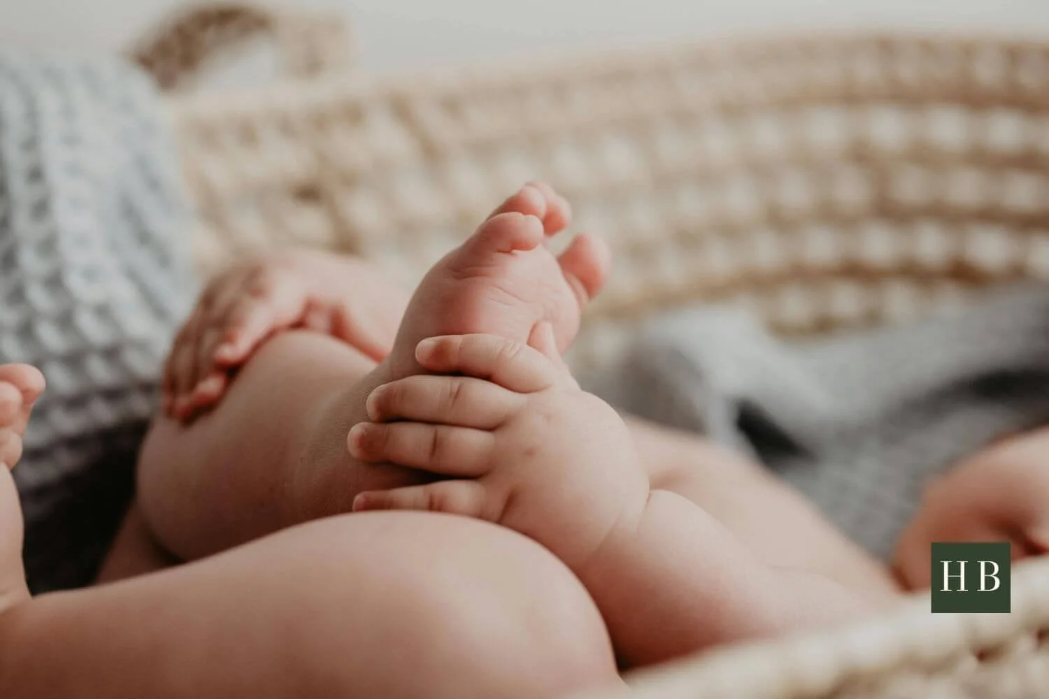 Newborn feet and hands resting in a Moses basket