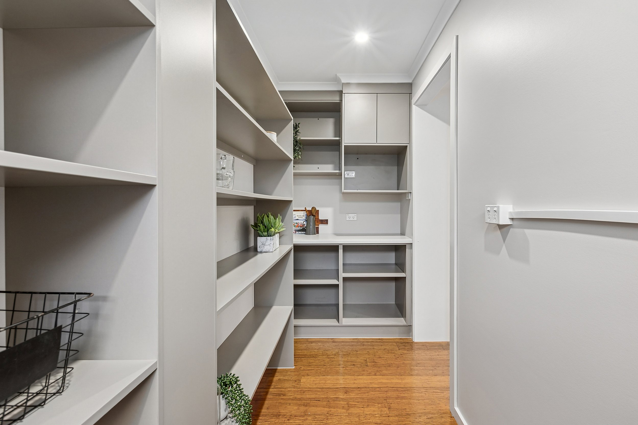 Empty built-in pantry and shelves with a small potted plant, on a wooden floor, in a room with white walls and ceiling.