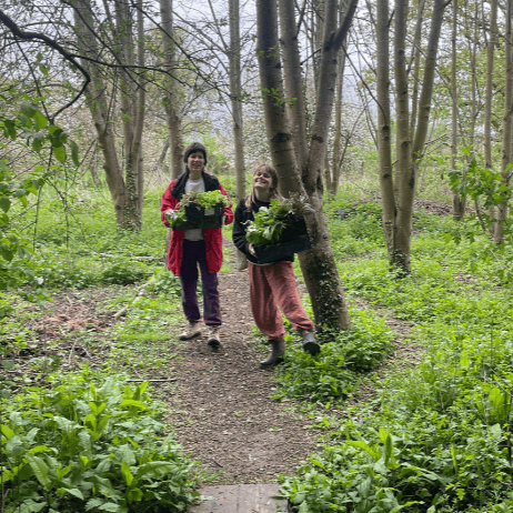 Two girls walking on a forest trail holding potted plants or flowers.