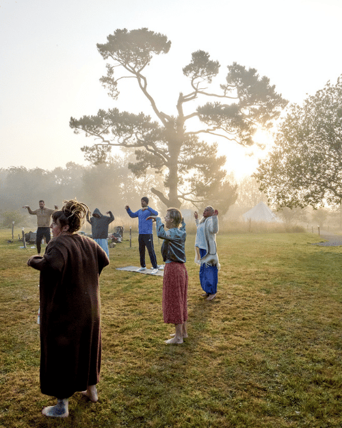 People practicing yoga outdoors on a grassy field with a large tree and tents in the background during sunrise or sunset.