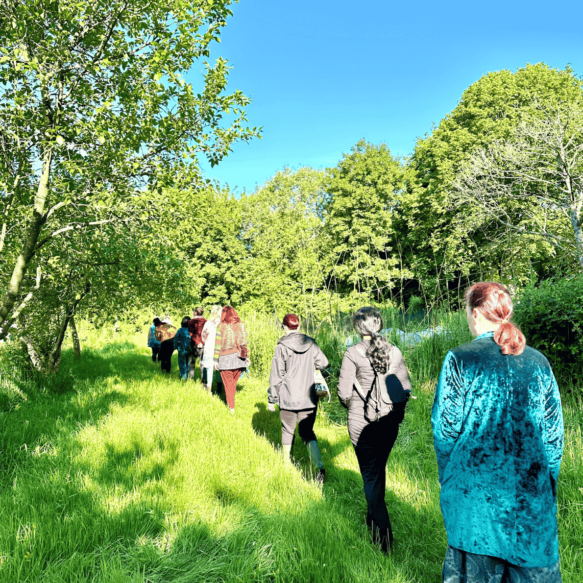 A group of people walking in a line through a lush, green outdoor area with trees and grass, under a clear blue sky.