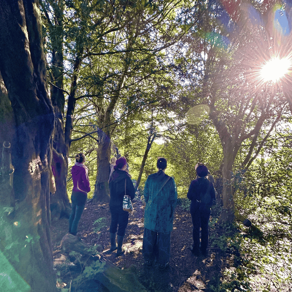 Group of five people standing in a forest with sunlight filtering through the trees.