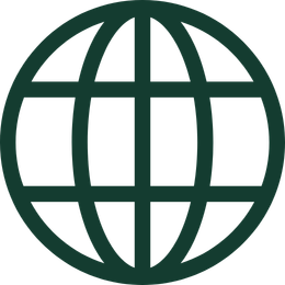 A globe icon representing global connectivity or the internet.