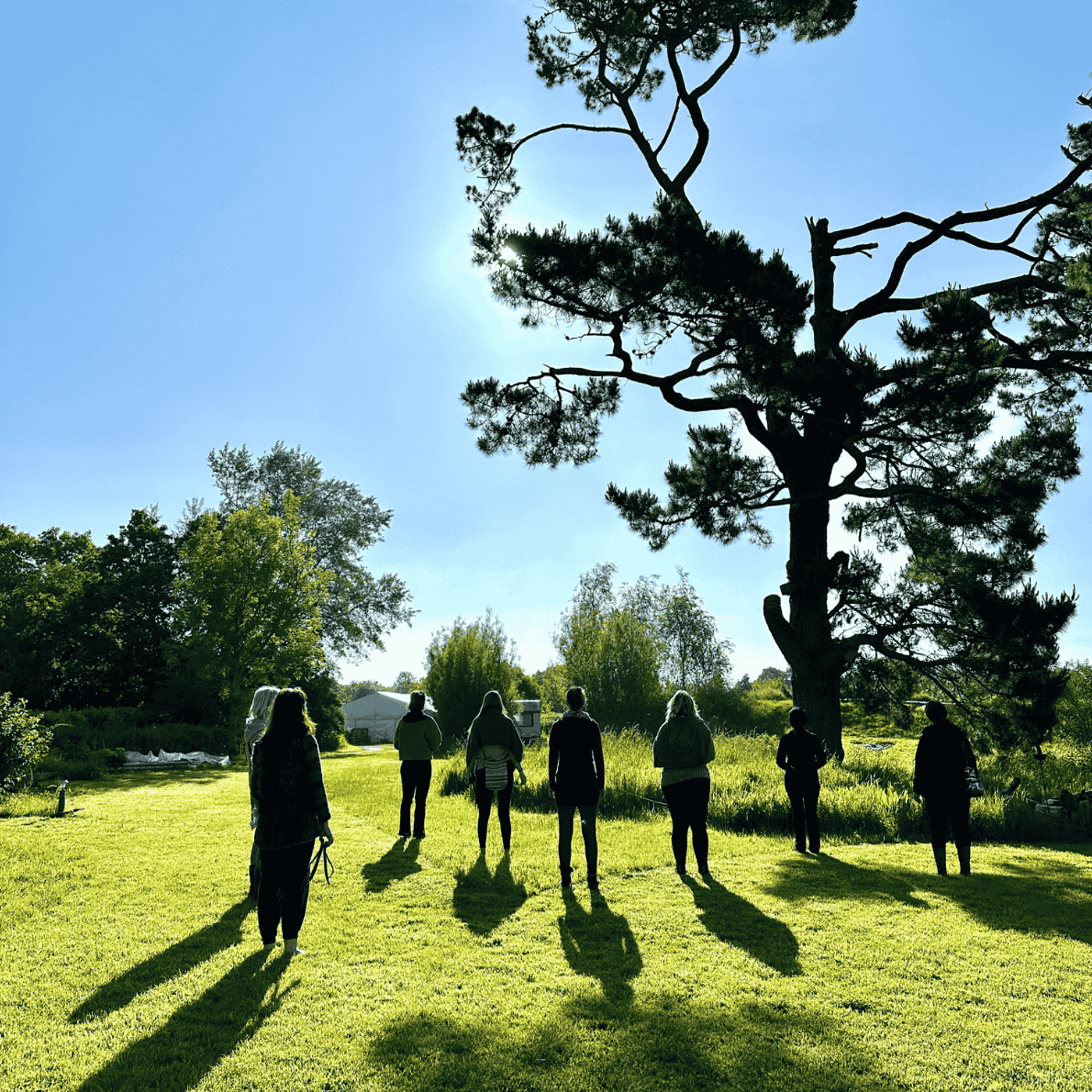 People standing on a grassy field with shadows cast by a large tree, under a clear blue sky.