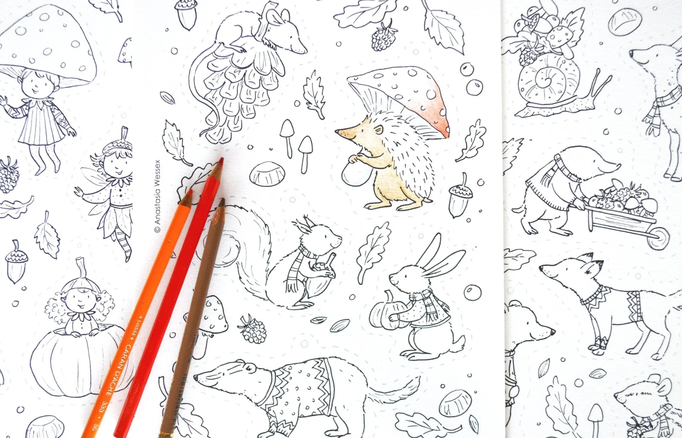 autumn cutout decorations