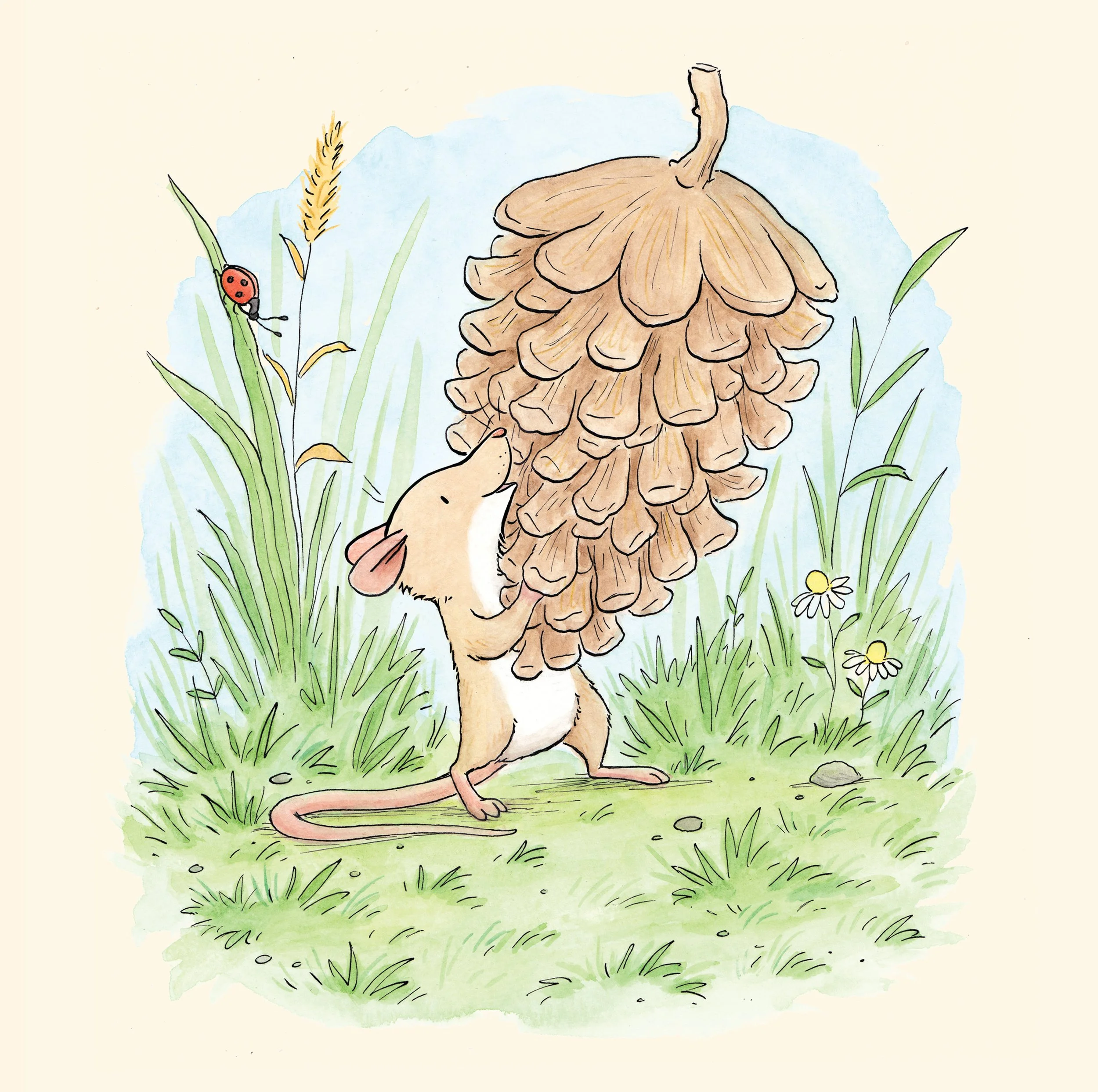 mouse pinecone 1.jpg