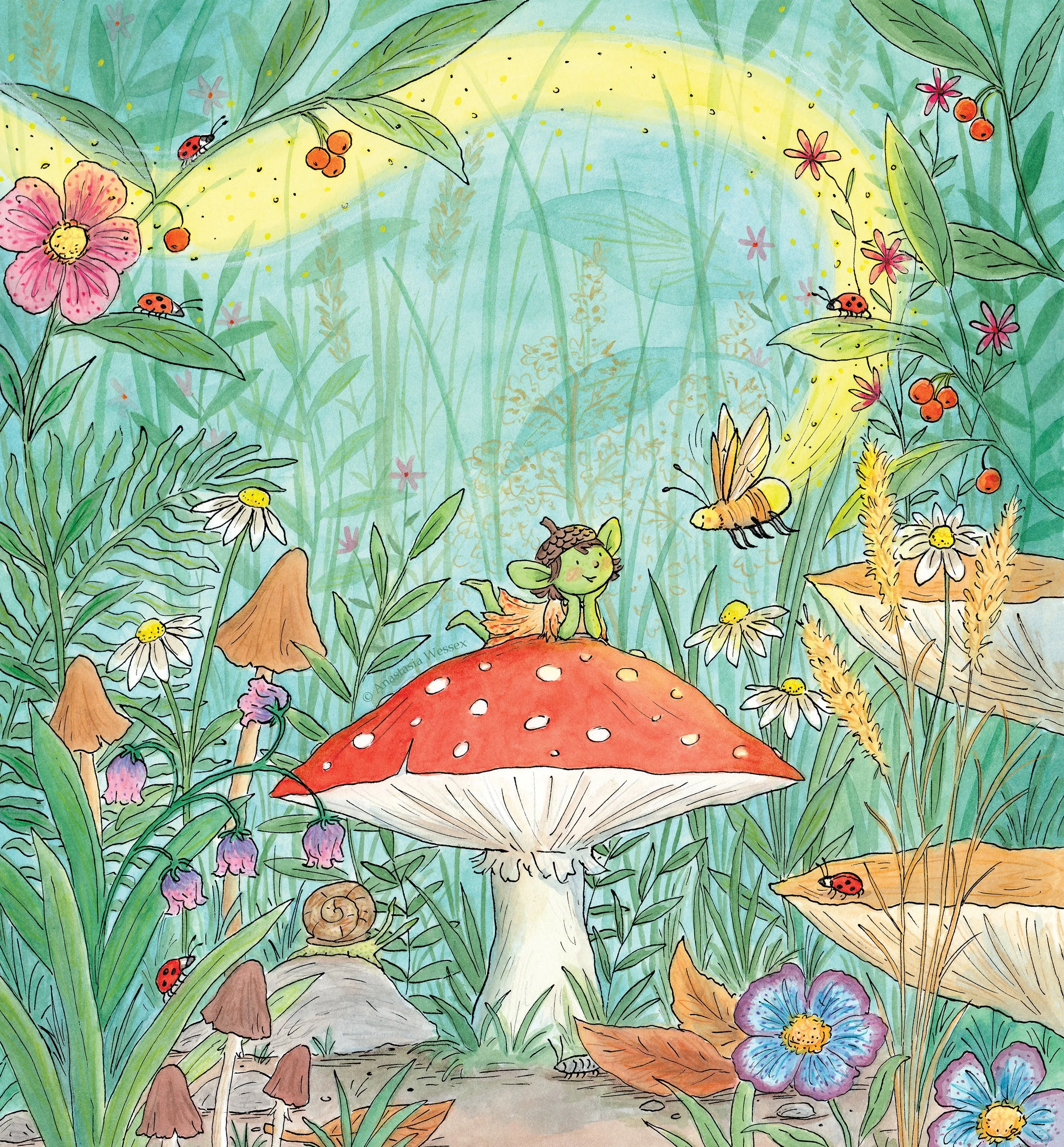 magic of the forest cover la galera book.jpg