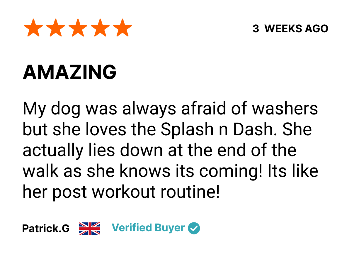 Review with five orange stars, heading '3 WEEKS AGO', title 'AMAZING', customer statement about their dog loving the Splash n Dash dog wash, customer name Patrick G with UK flag, and 'Verified Buyer' badge.