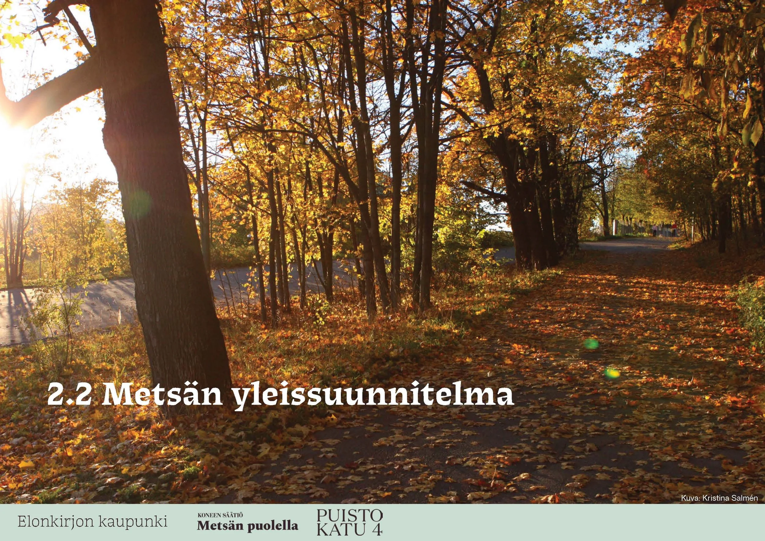 35-260417-Kumpulan vaihtoehtokaava-pitkät tekstit-v2_Page_35.jpg