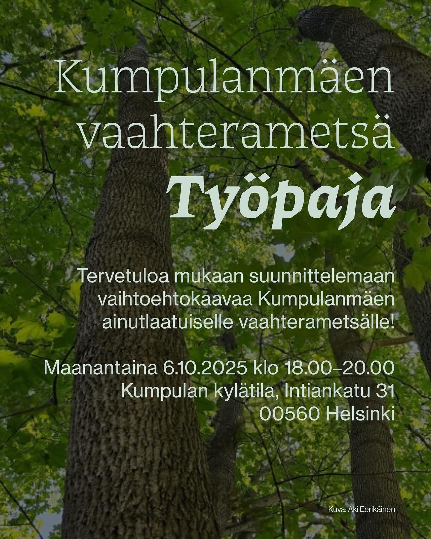 Tervetuloa mukaan suunnittelemaan vaihtoehtokaavaa Kumpulanm&auml;en ainutlaatuiselle vaahteramets&auml;lle! ☀️🍁
Helsingin kaupunki kaavailee Kumpulanm&auml;en vaahteramets&auml;&auml;n tiivistysrakentamista, joka uhkaa h&auml;vitt&auml;&auml; arvok