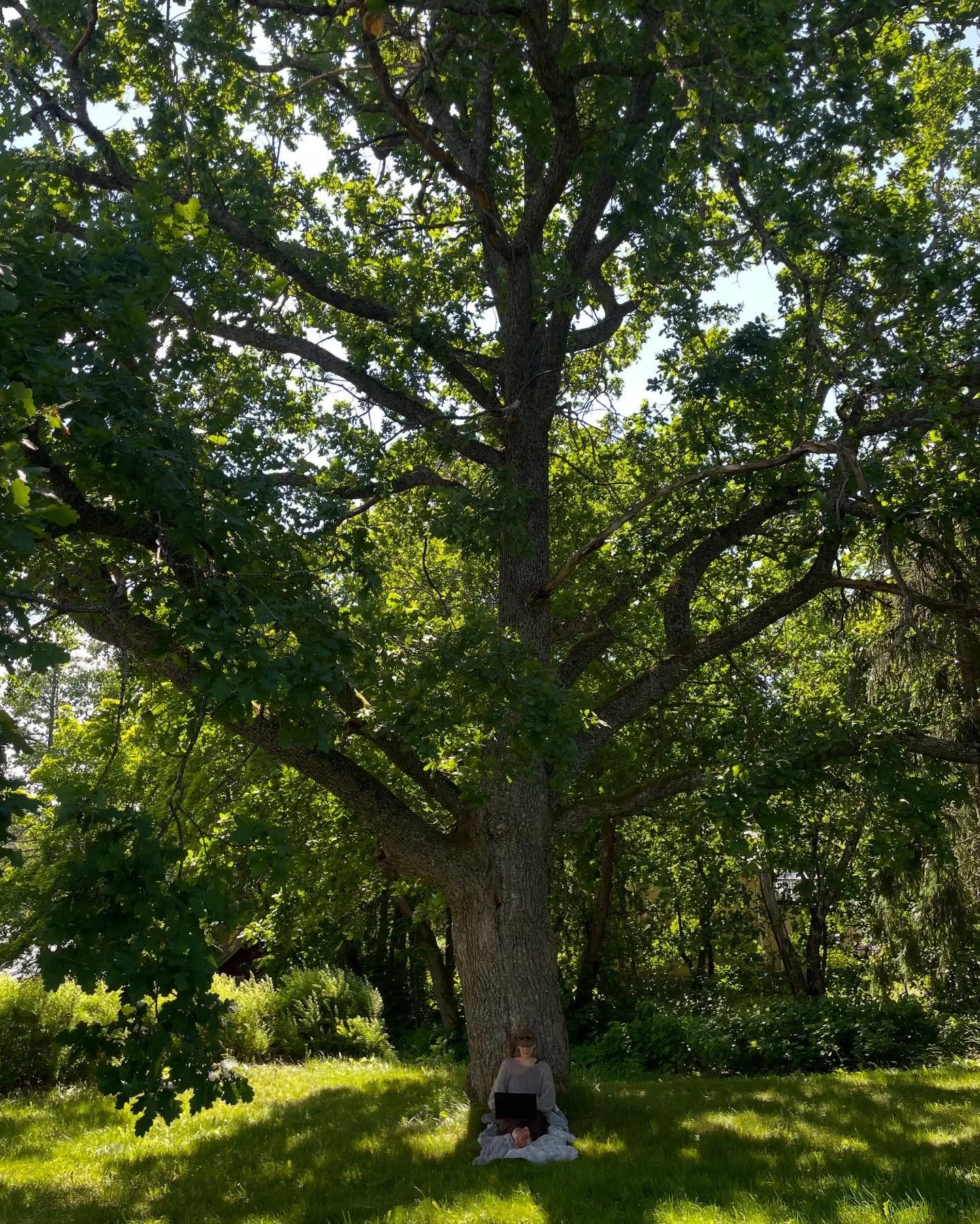 Elonkirjon kaupunki -hankkeen ensimm&auml;inen kev&auml;t on nyt paketissa &ndash; ja kes&auml;laitumet kutsuvat! 🌱🫶
Takana on innostava ja tapahtumarikas kev&auml;t, t&auml;ynn&auml; kohtaamisia l&auml;himetsi&auml;&auml;n puolustavien asukkaiden 