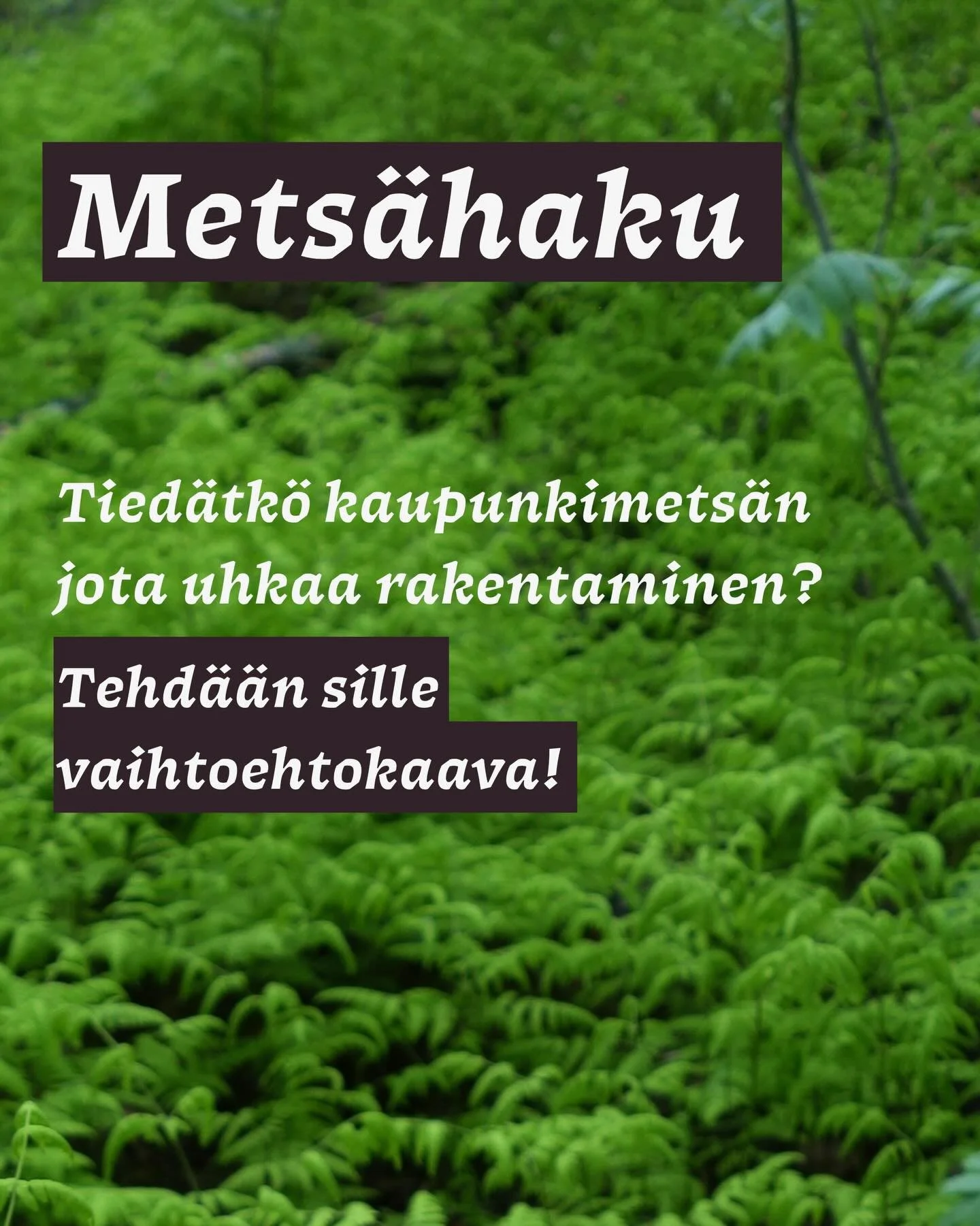Elonkirjon kaupunki -hankeessa etsimme paikkoja, jotka tarvitsevat vaihtoehtokaavaa. Tavoitteenamme on edist&auml;&auml; elonkirjoa vaalivaa kaupunkisuunnittelua ja tuoda asukkaiden &auml;&auml;ni vahvemmin kuuluviin. Nyt jo ty&ouml;n alla olevat koh