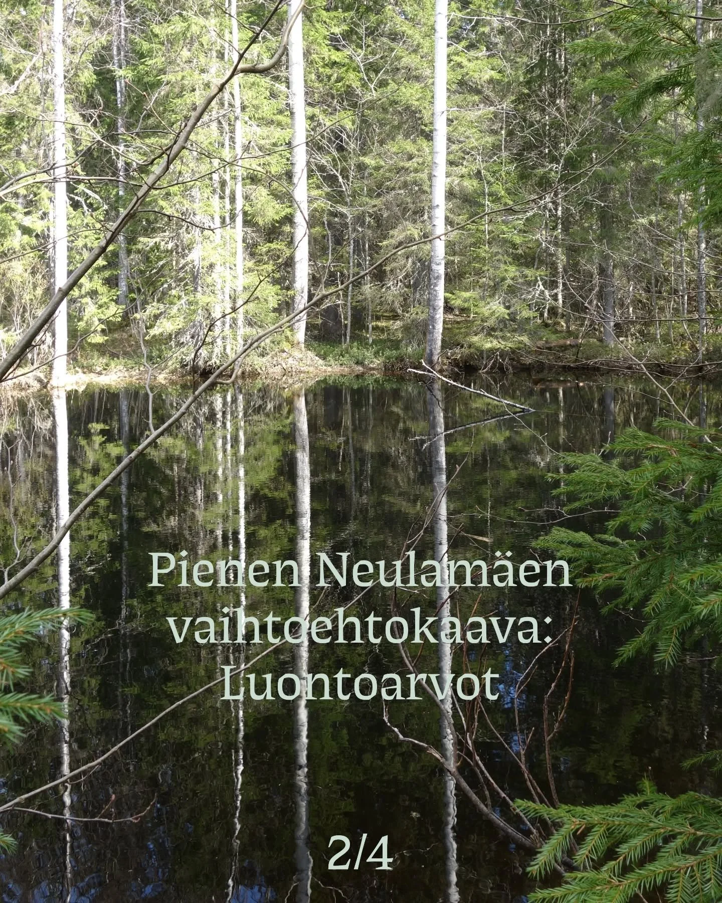 Pienen Neulam&auml;en vaihtoehtokaavan esittely&auml; osa 2. Tutustu suunnitelmiin kokonaisuudessaan nettisivuillamme! elonkirjonkaupunki.com

Pieni Neulam&auml;ki on luontoarvoiltaan arvokas ja monipuolinen mets&auml;alue, joka yhdess&auml; Etel&aum