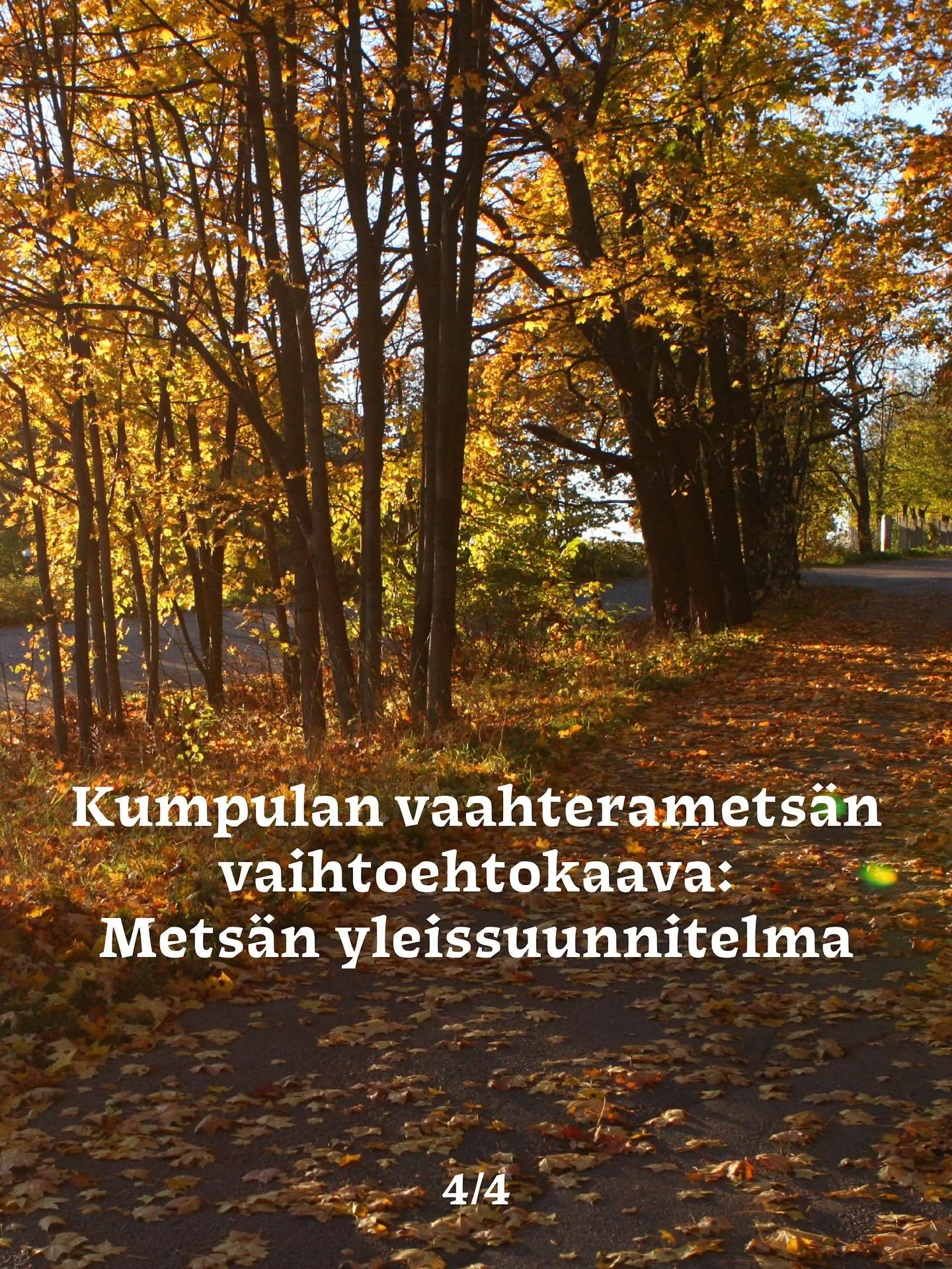 Kumpulan vaahteramets&auml;n vaihtoehtokaava: Mets&auml;n yleissuunnitelma

Yleissuunnitelmassa mets&auml;&auml; kehitet&auml;&auml;n asukkaiden toiveita kuunnellen ja alueen luontoarvot huomioiden sek&auml; niiden suojeluun osallistuen. Vaahteramets