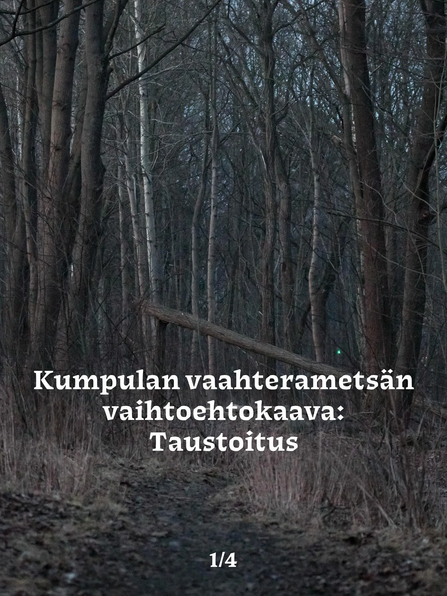 Kumpulan vaahteramets&auml;n vaihtoehtokaava: Taustoitus

Helsingin kaupunki kaavailee Kumpulanm&auml;en vaahteramets&auml;&auml;n tiivistysrakentamista, joka uhkaa h&auml;vitt&auml;&auml; arvokkaan l&auml;himets&auml;n ja sen monimuotoisen el&auml;m