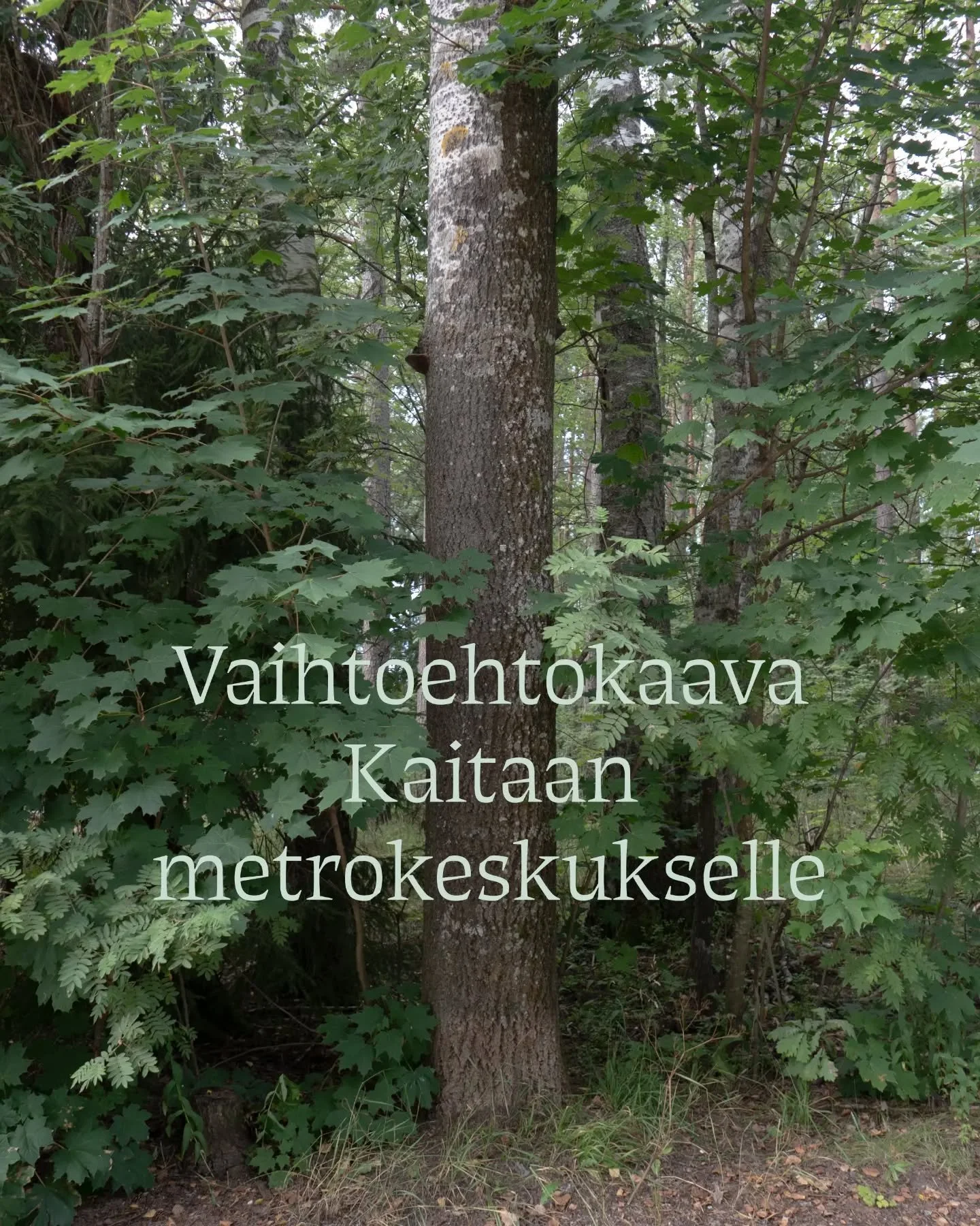 S&auml;ilytet&auml;&auml;n Kaitaan ja Iivisniemen l&auml;himets&auml;t &ndash; tule mukaan suunnitteluty&ouml;pajaan!

Kaitaan metroaseman ymp&auml;rille suunnitellaan uutta rakentamista. Nykyiset suunnitelmat uhkaavat alueen arvokkaita l&auml;himets
