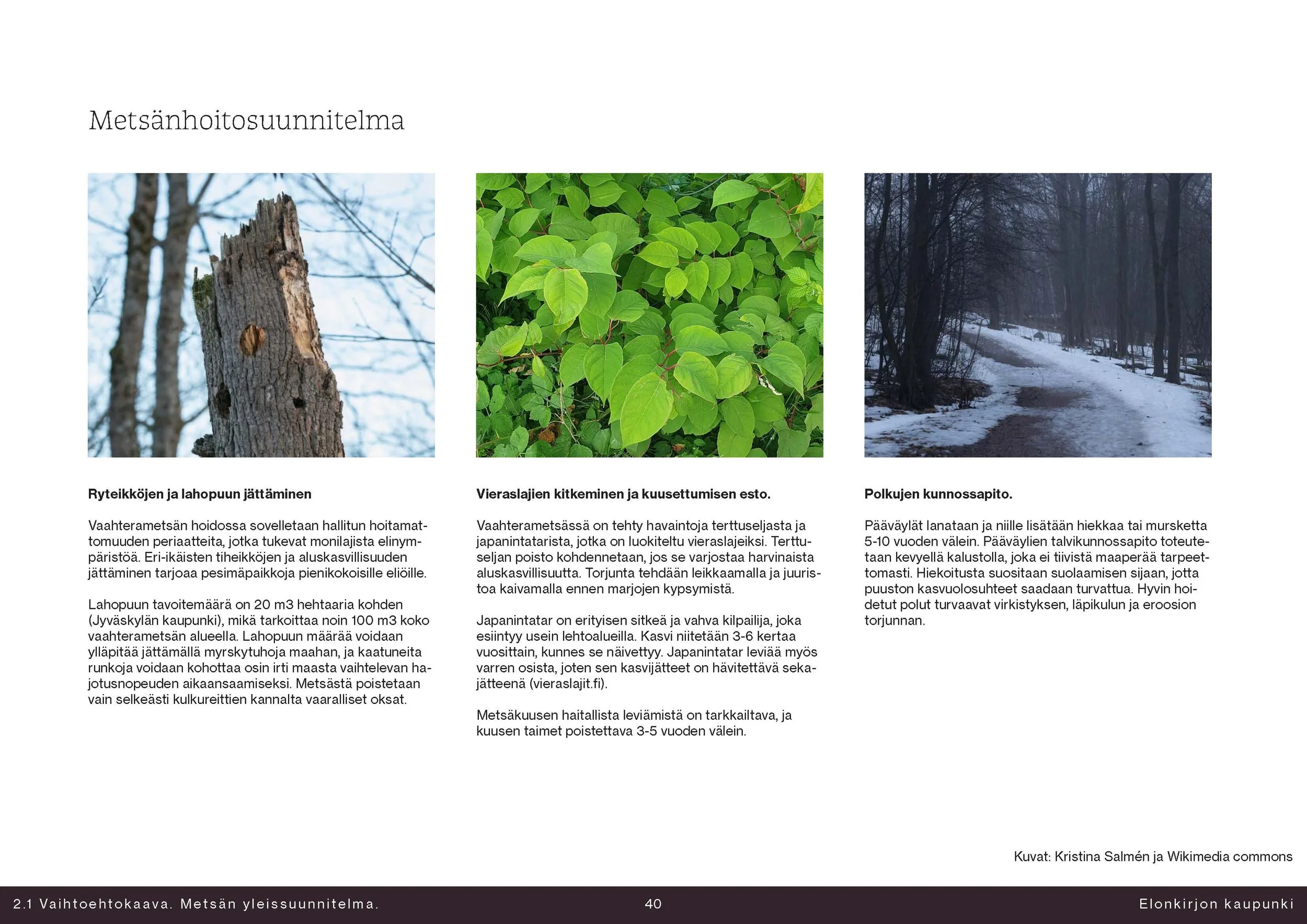 40-260417-Kumpulan vaihtoehtokaava-pitkät tekstit-v2_Page_40.jpg