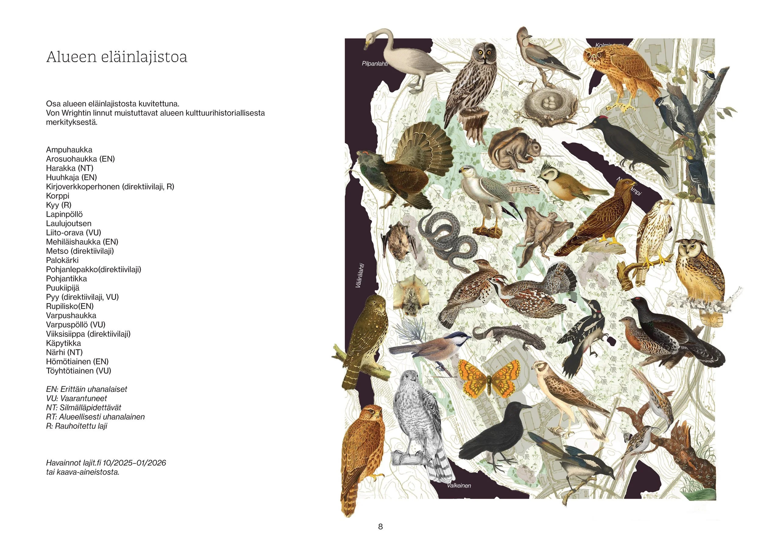 8 260205Pieni-Neulamäki-vaihtoehtokaava 8.jpg