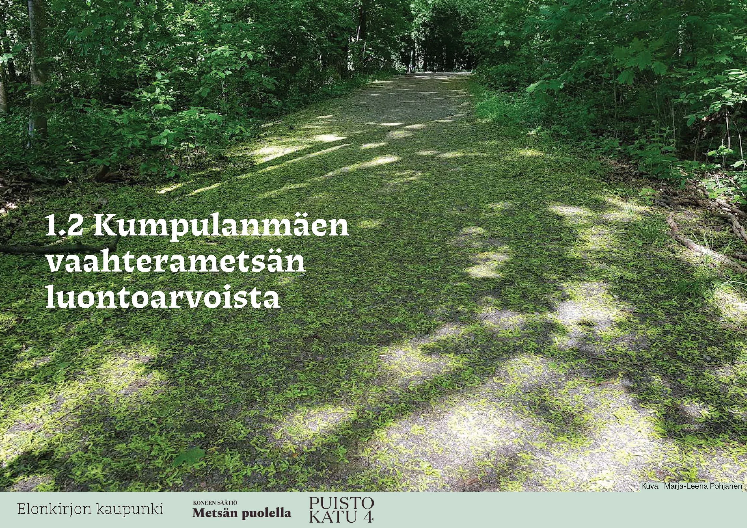 14-260417-Kumpulan vaihtoehtokaava-pitkät tekstit-v2_Page_14.jpg