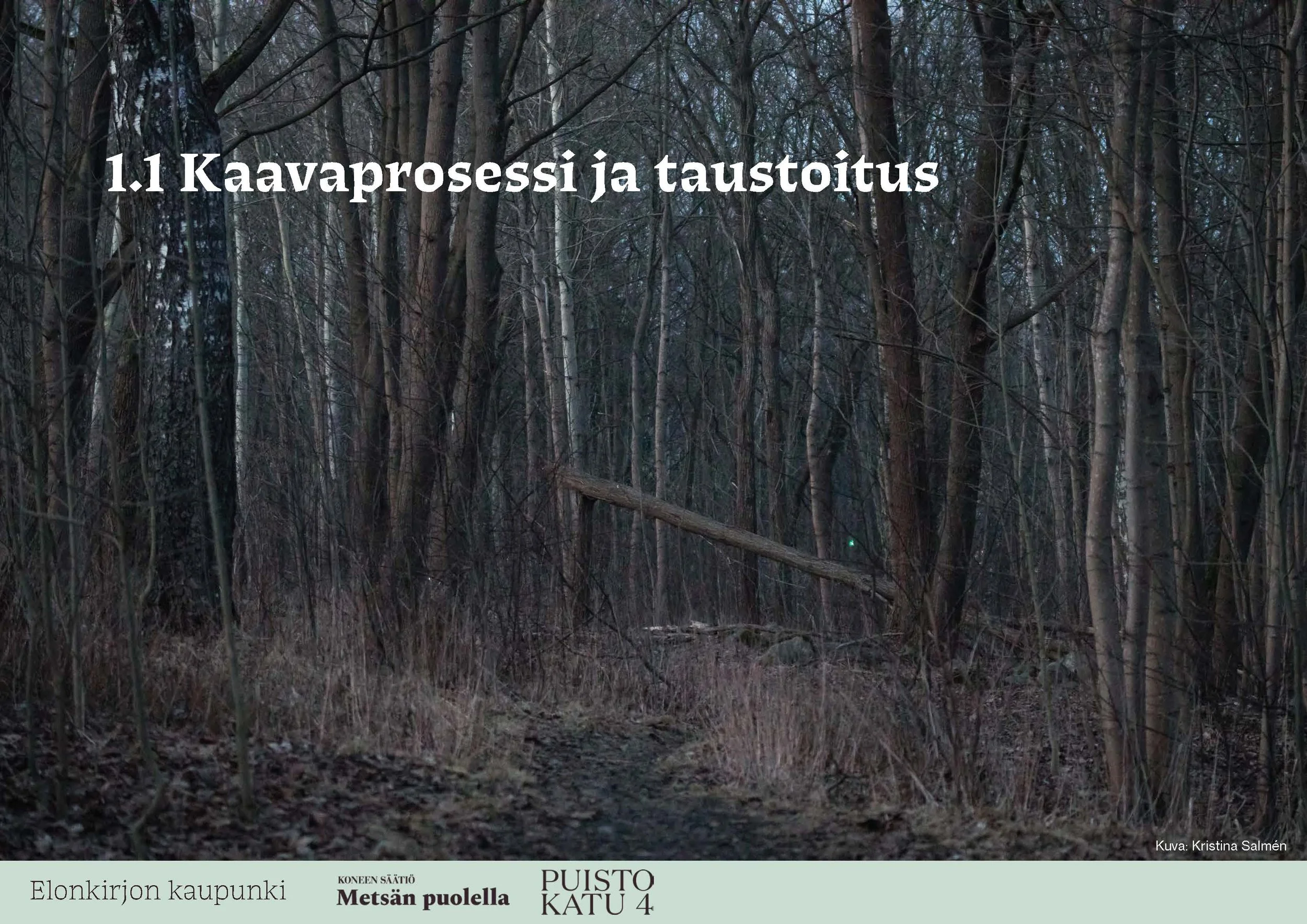 4-260417-Kumpulan vaihtoehtokaava-pitkät tekstit-v2_Page_04.jpg