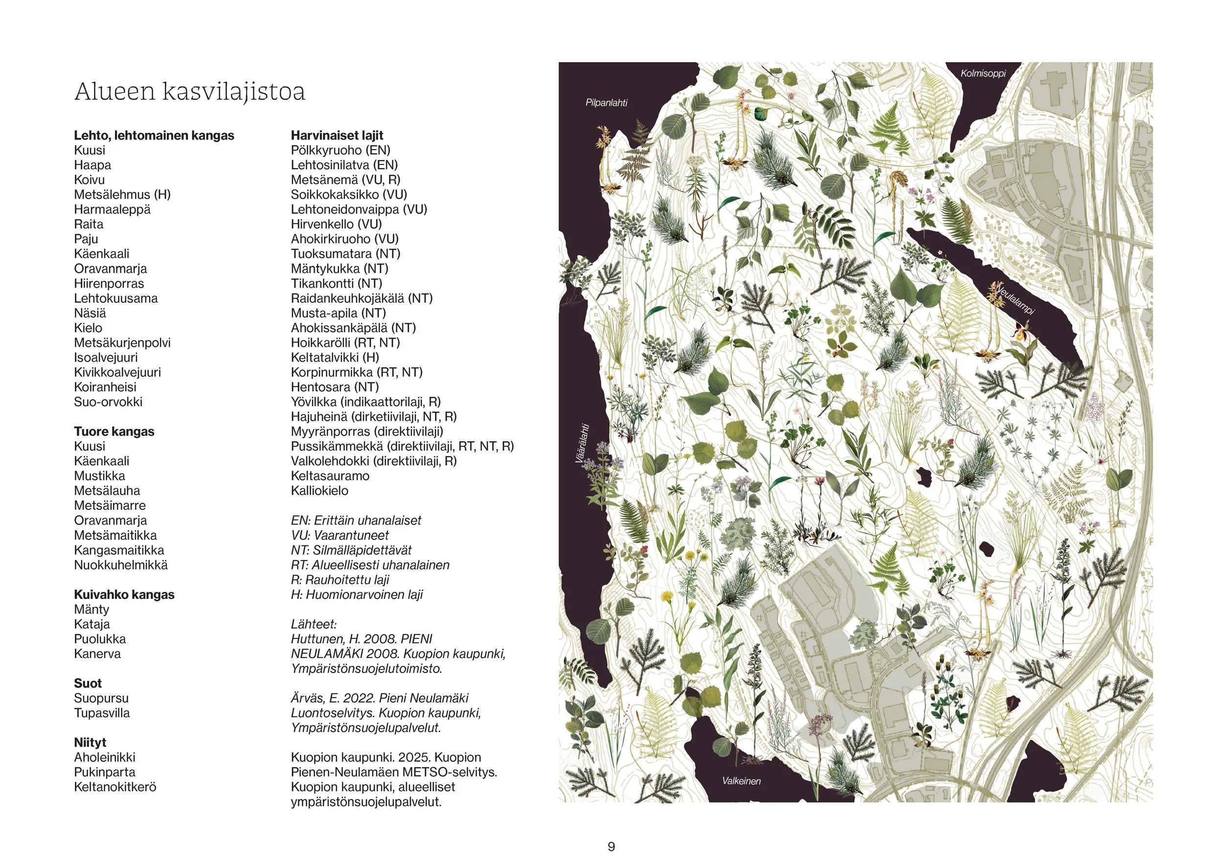 9 260205Pieni-Neulamäki-vaihtoehtokaava 9.jpg