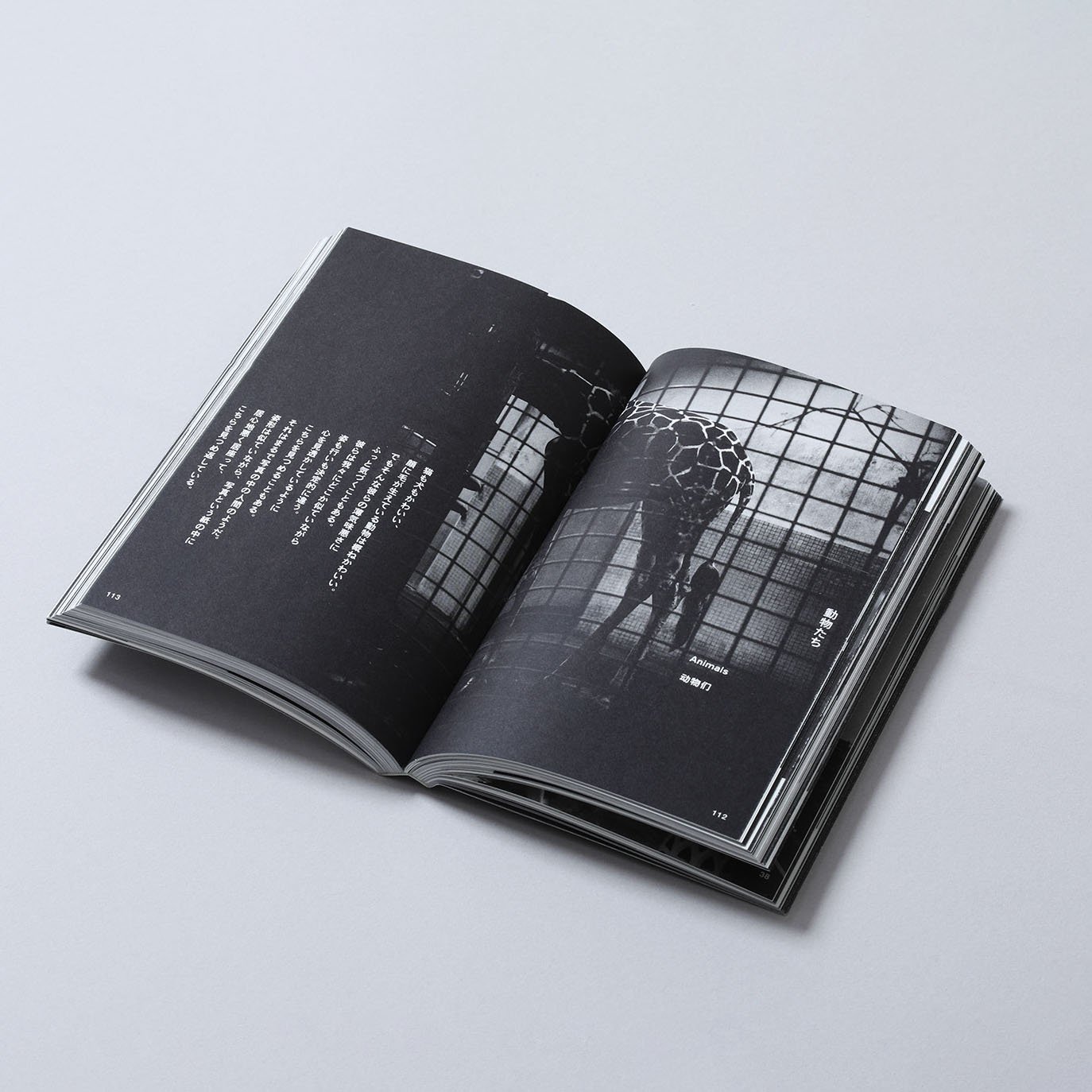 what_006_square.jpg