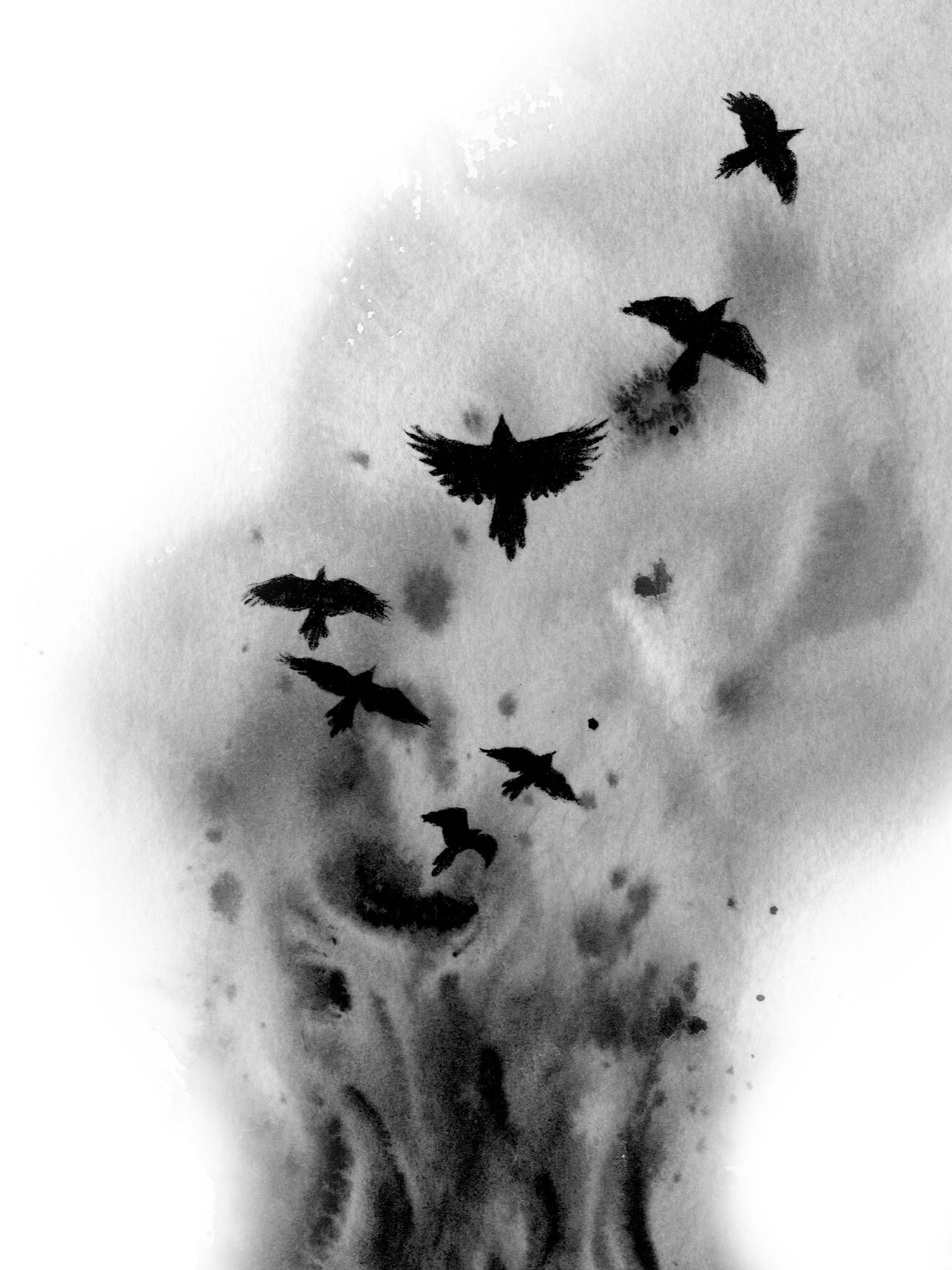 9.+The+First+Ravens.jpg