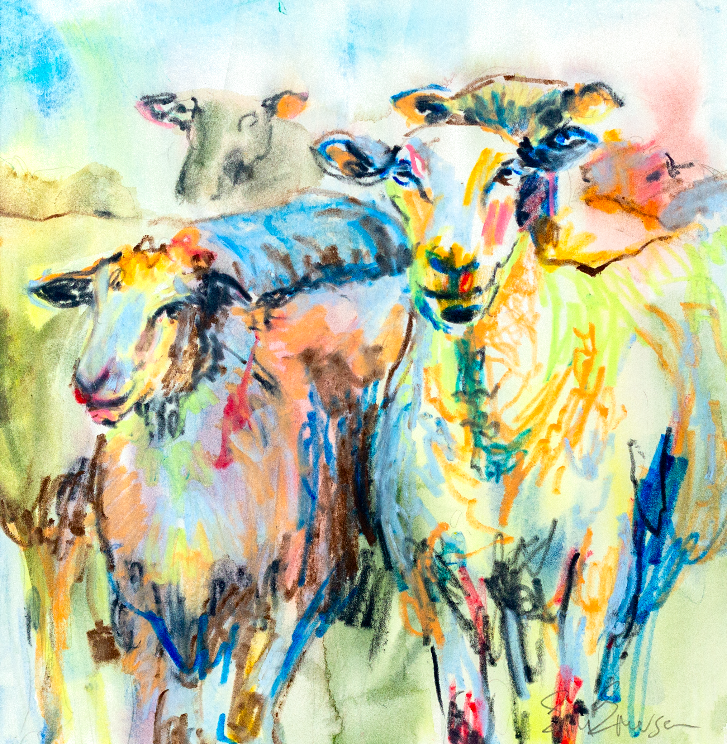 Sheep_Stare_1-_EM_Emerson.png