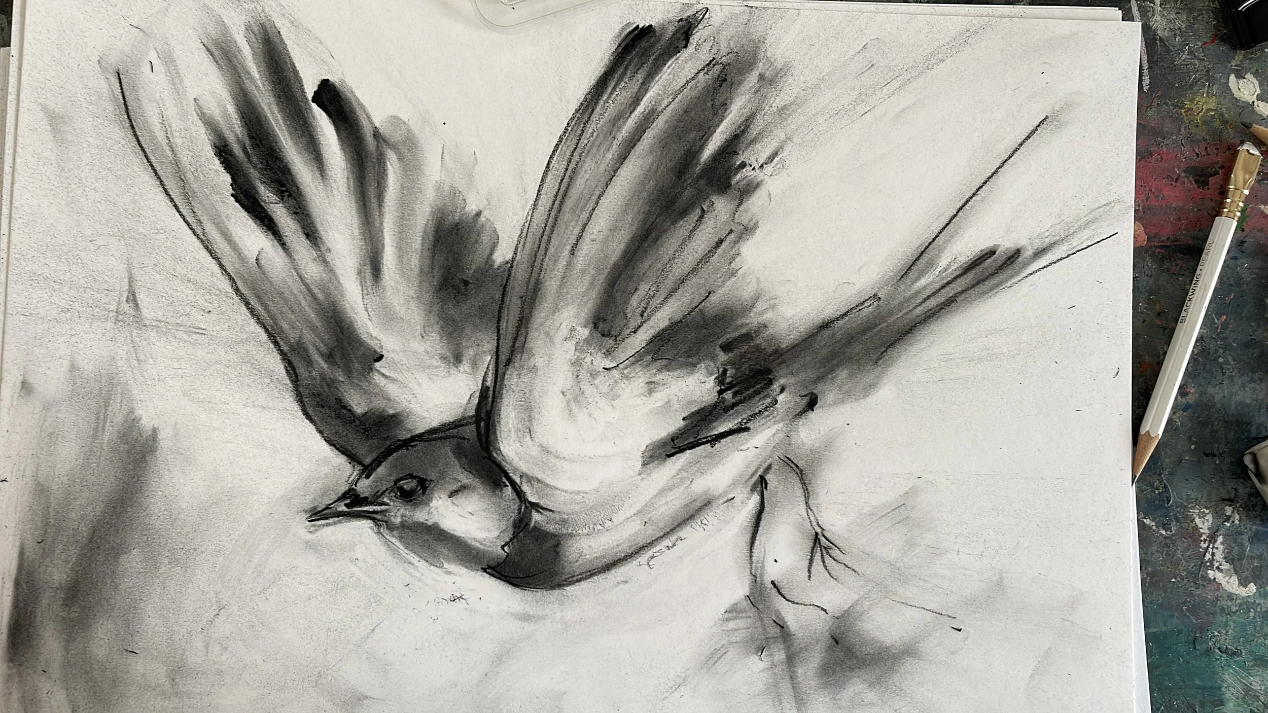 Swallow - Tyrone Guthrie Residency