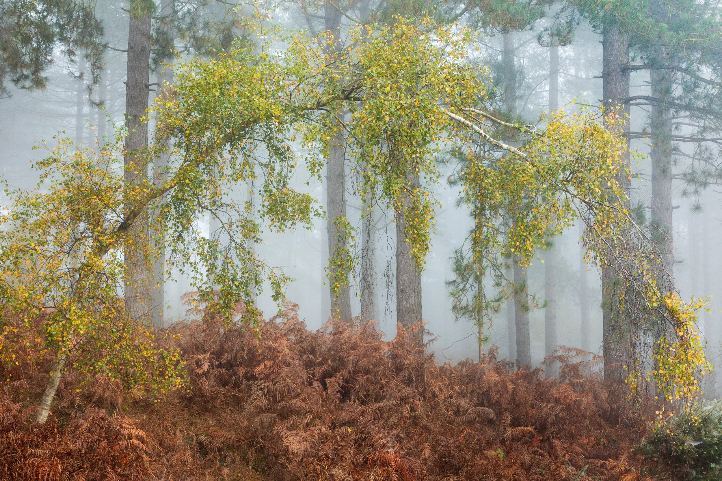 Aloof + Woodcote - ©FinnHopson 02_EX_SML.jpg