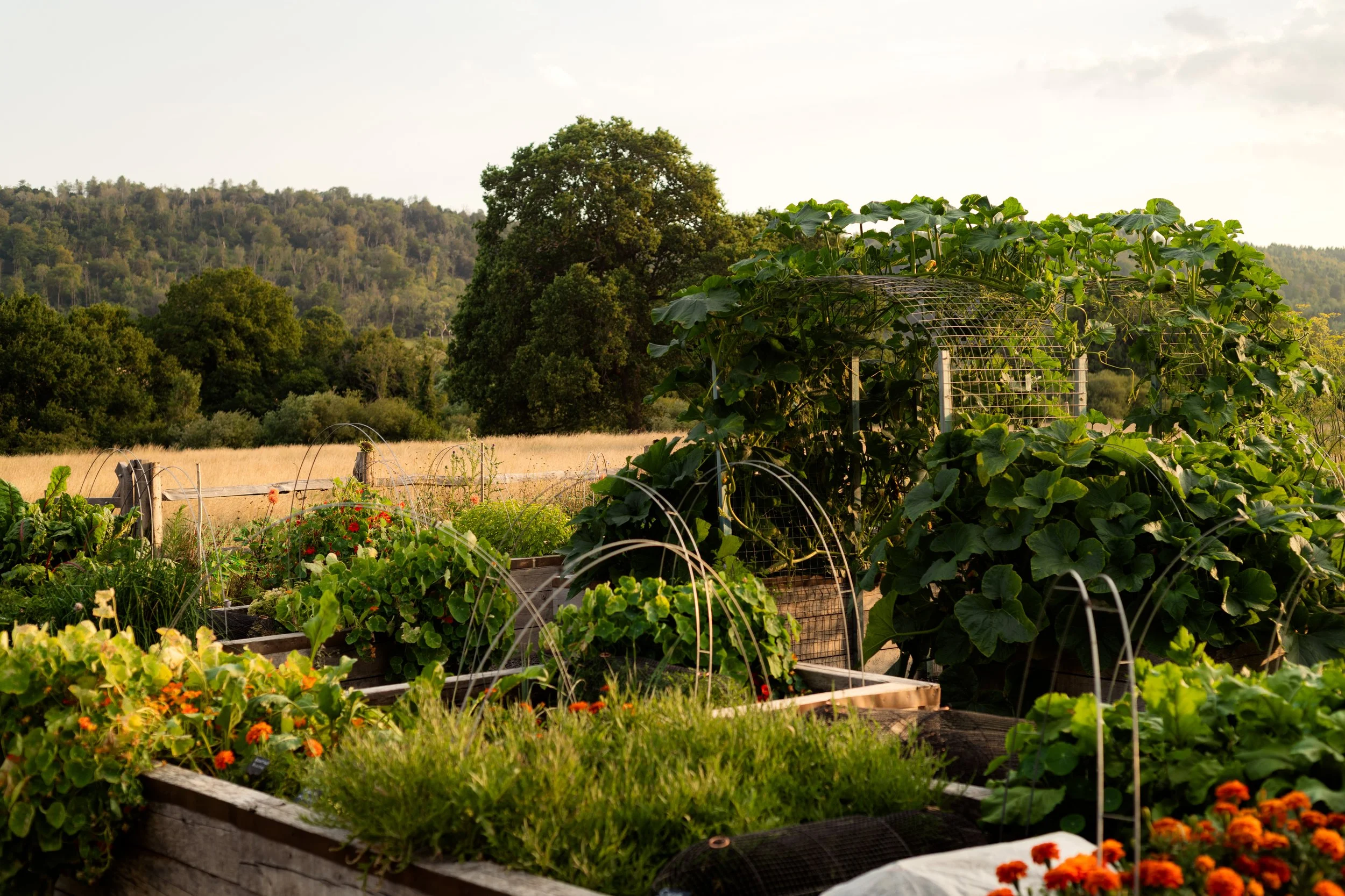 TheWoodcote_JUL26-10.jpg