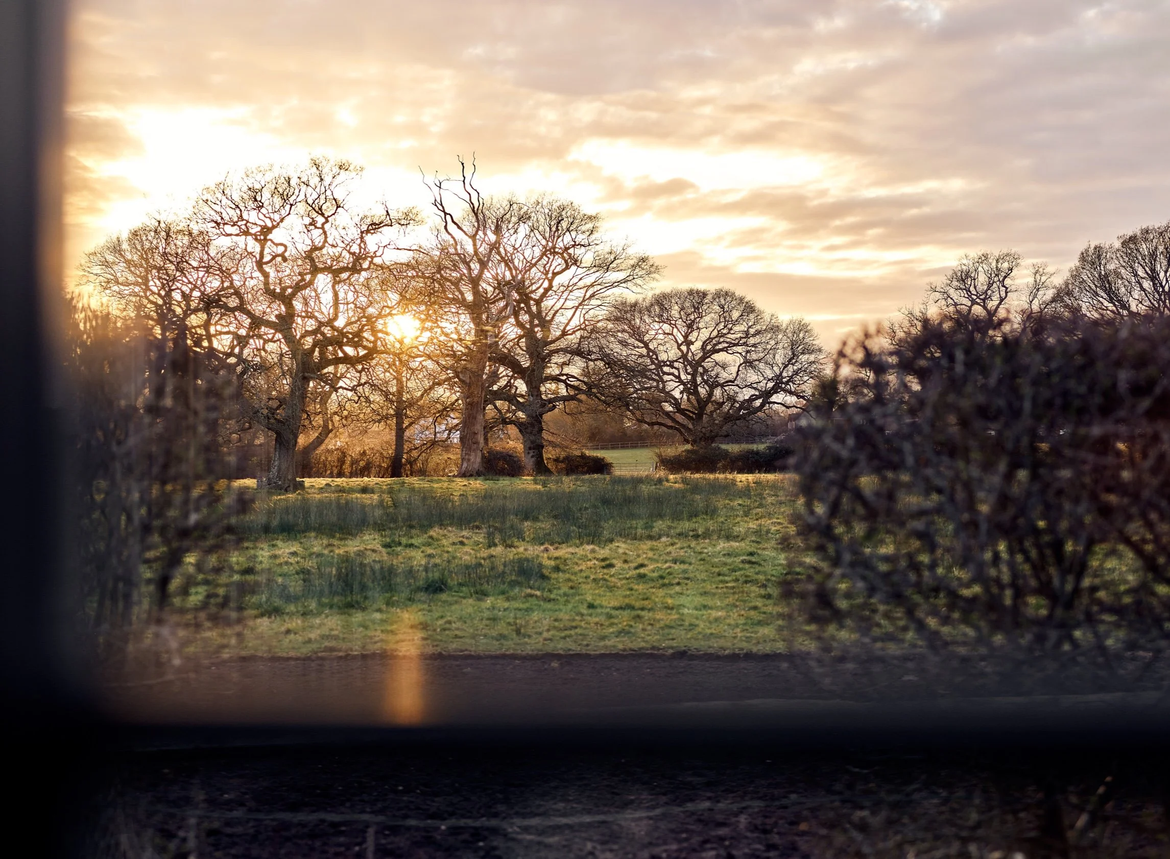 Scenic golden hour sunset over the countryside and oak trees at The Woodcote, providing a romantic backdrop for Valentine’s dining and stays.