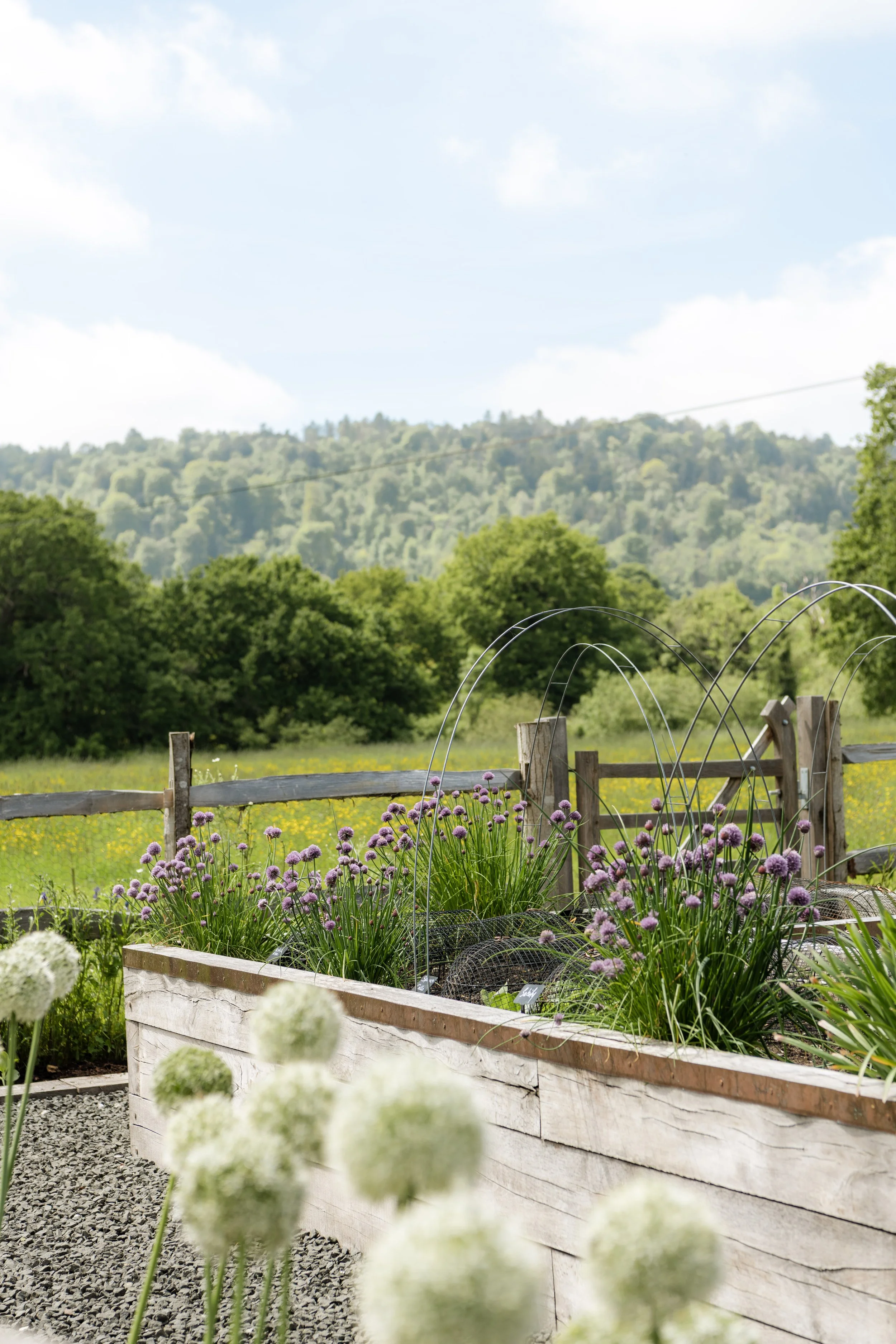 WOODCOTE_MAY26-38.jpg