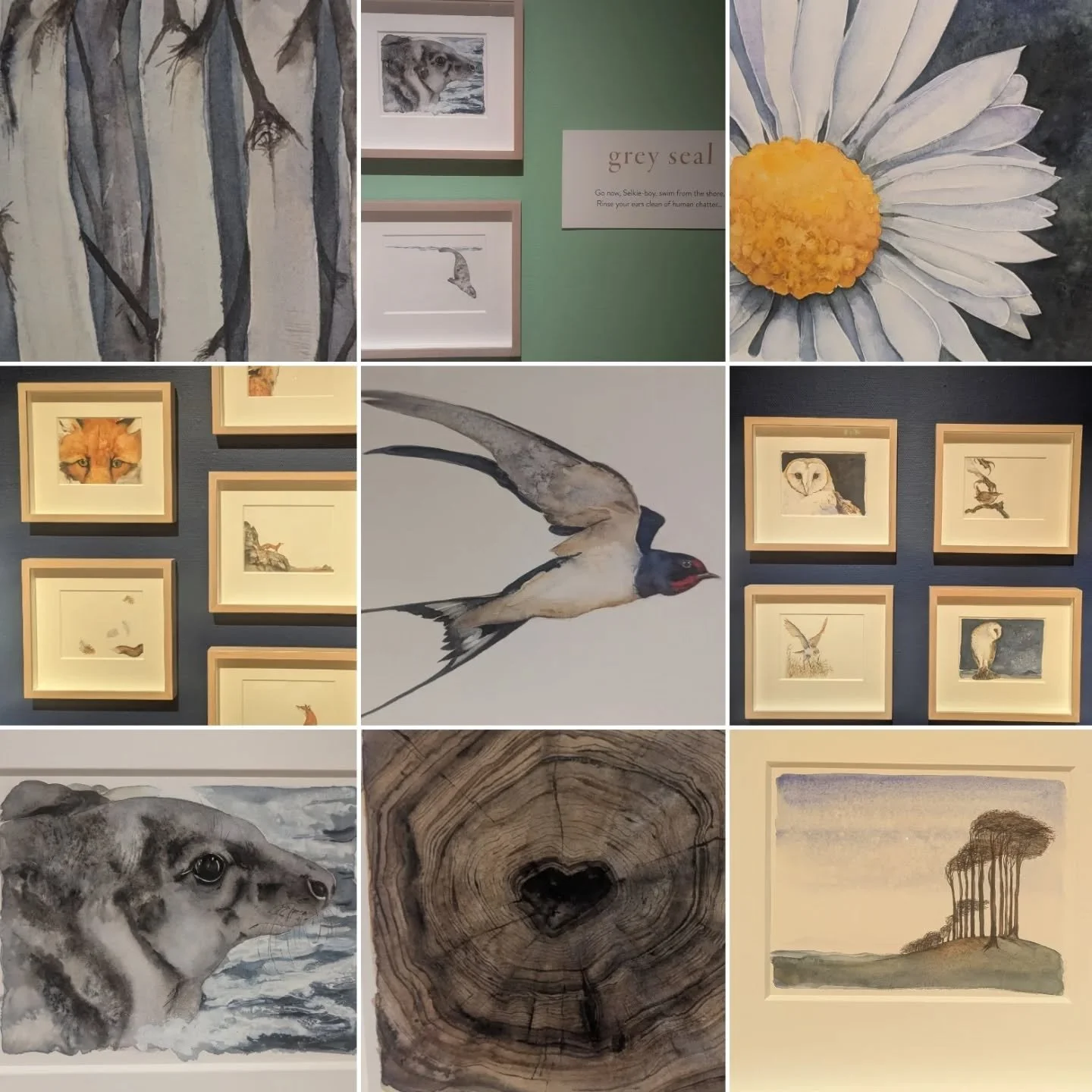 Finally got to the @victoriaartgallerybath yesterday just in time to see the &quot;Lost Spells&quot; exhibition.. illustrated by Jackie Morris and poems by Robert Macfarlane, 

A lovely connection as when I worked at St George's International school 