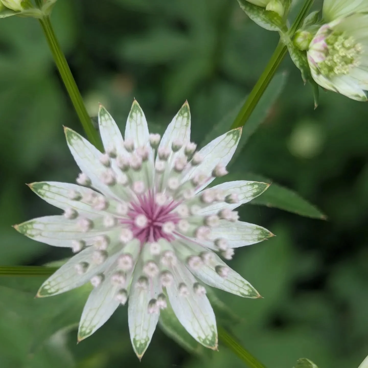 Today I&rsquo;m taking a moment to notice what is working. The small wins, the progress, the possibilities opening up in front of me.

I feel grateful for the work I get to do and the people I get to walk alongside&mdash;because every conversation, e